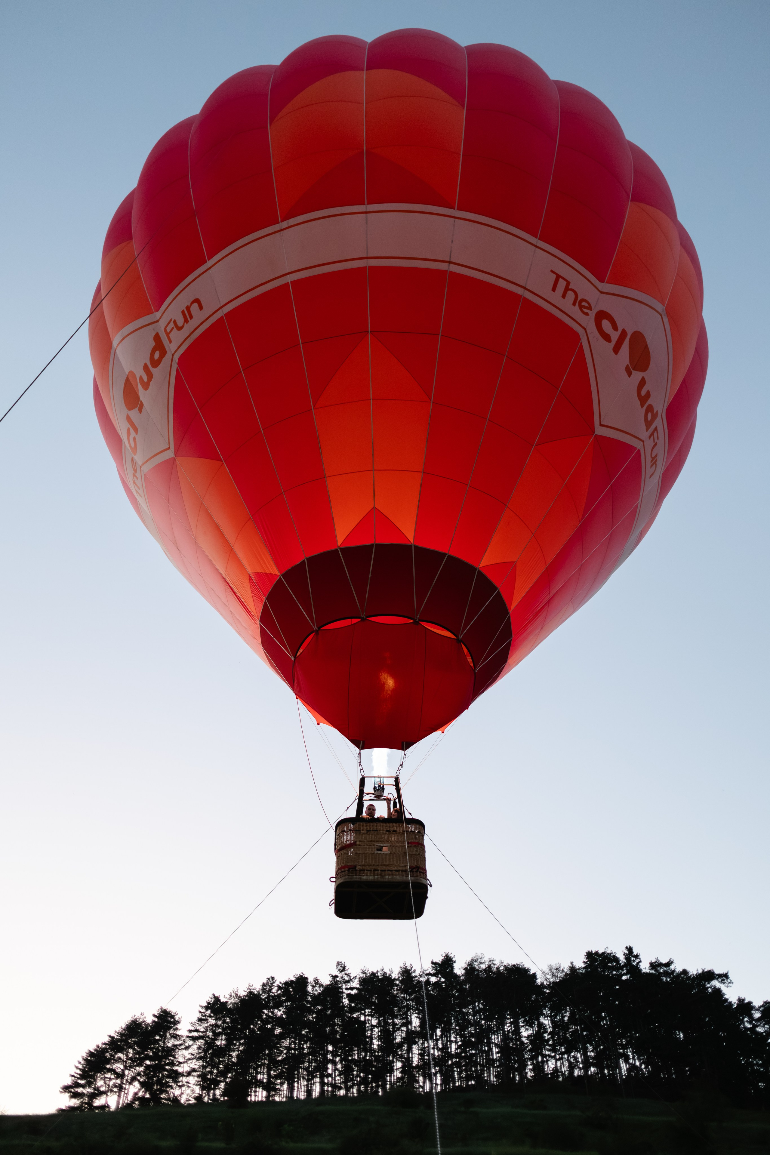 Flori & Cosmin. Main