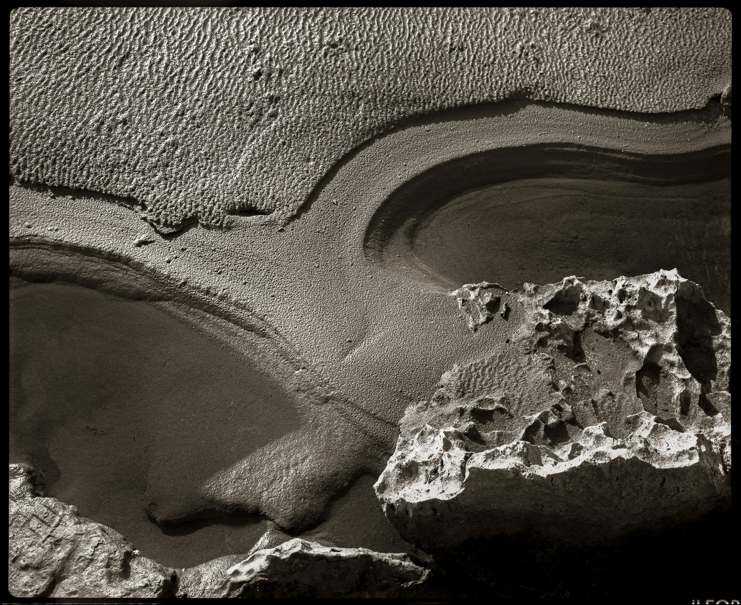 NATURE. Www.sananaleskerov.com