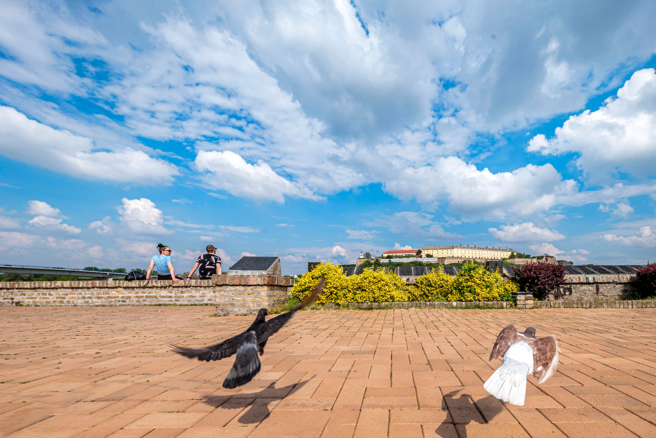 Novi Sad, tri prazna mesta pa svi ostali gradovi.❤️. Aleksandar Milutinović fotograf iz Srbije, Novog Sada