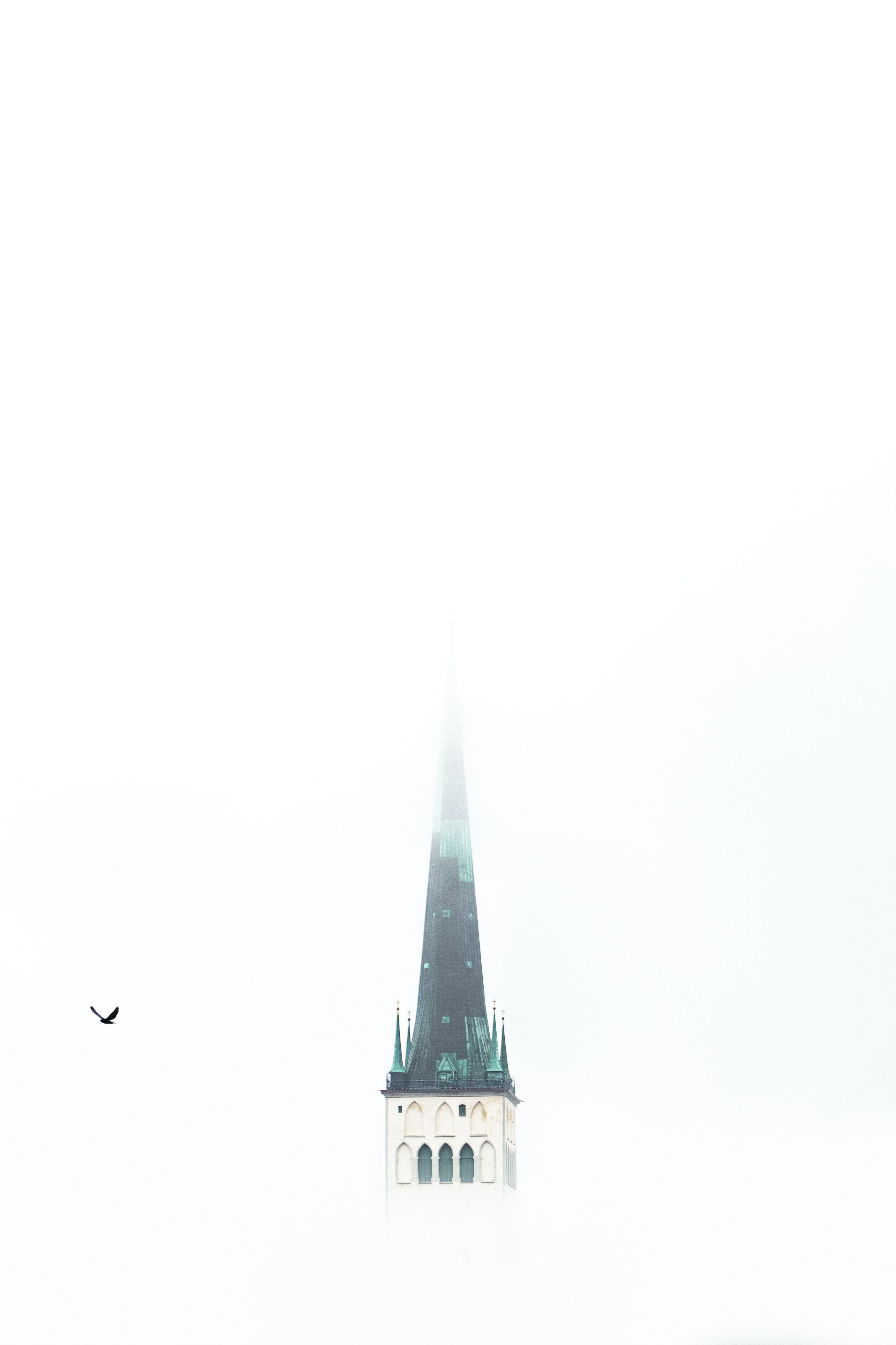 Street Photography. Portree- ja perefotograaf Anton Hansen Tallinnas, Eestis