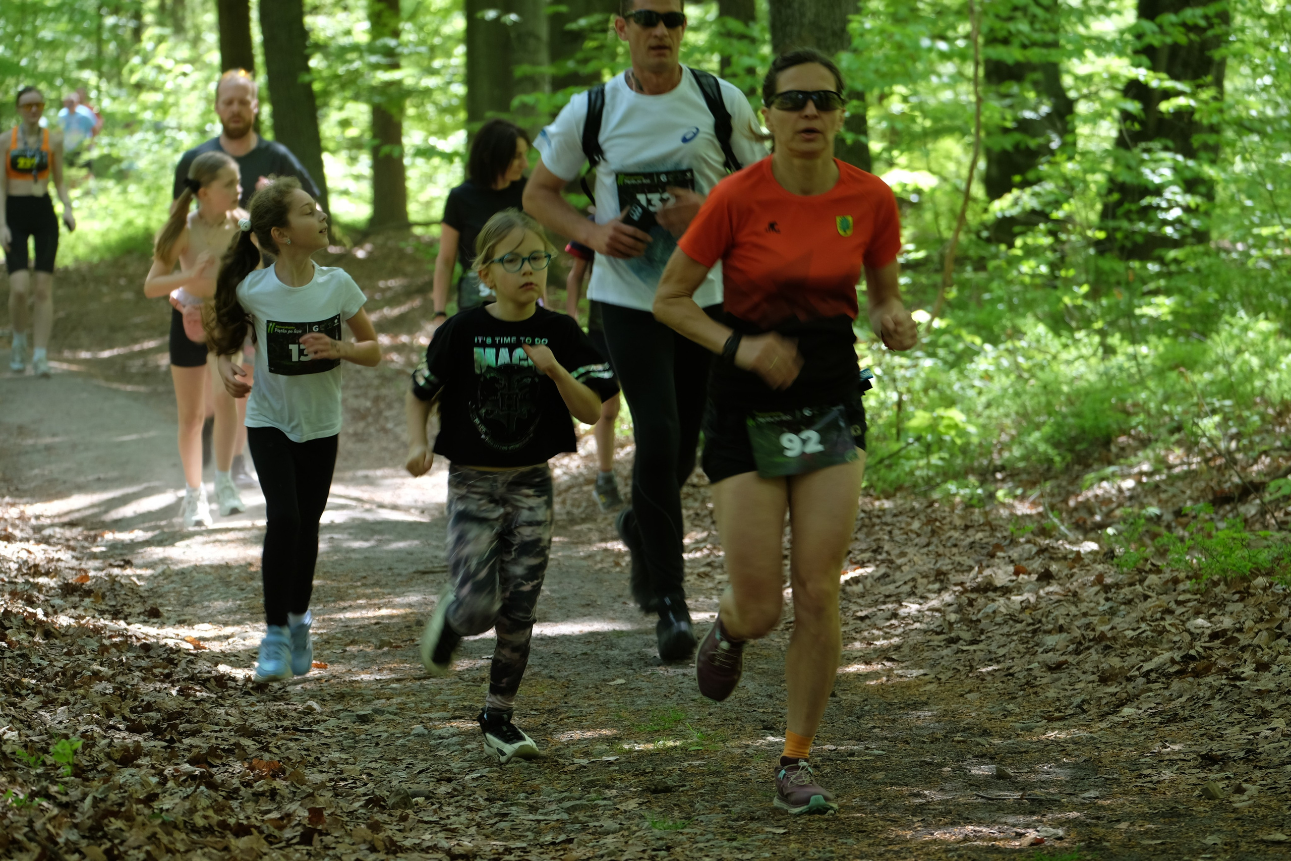 Aleksandryjska Piątka po lesie. Main