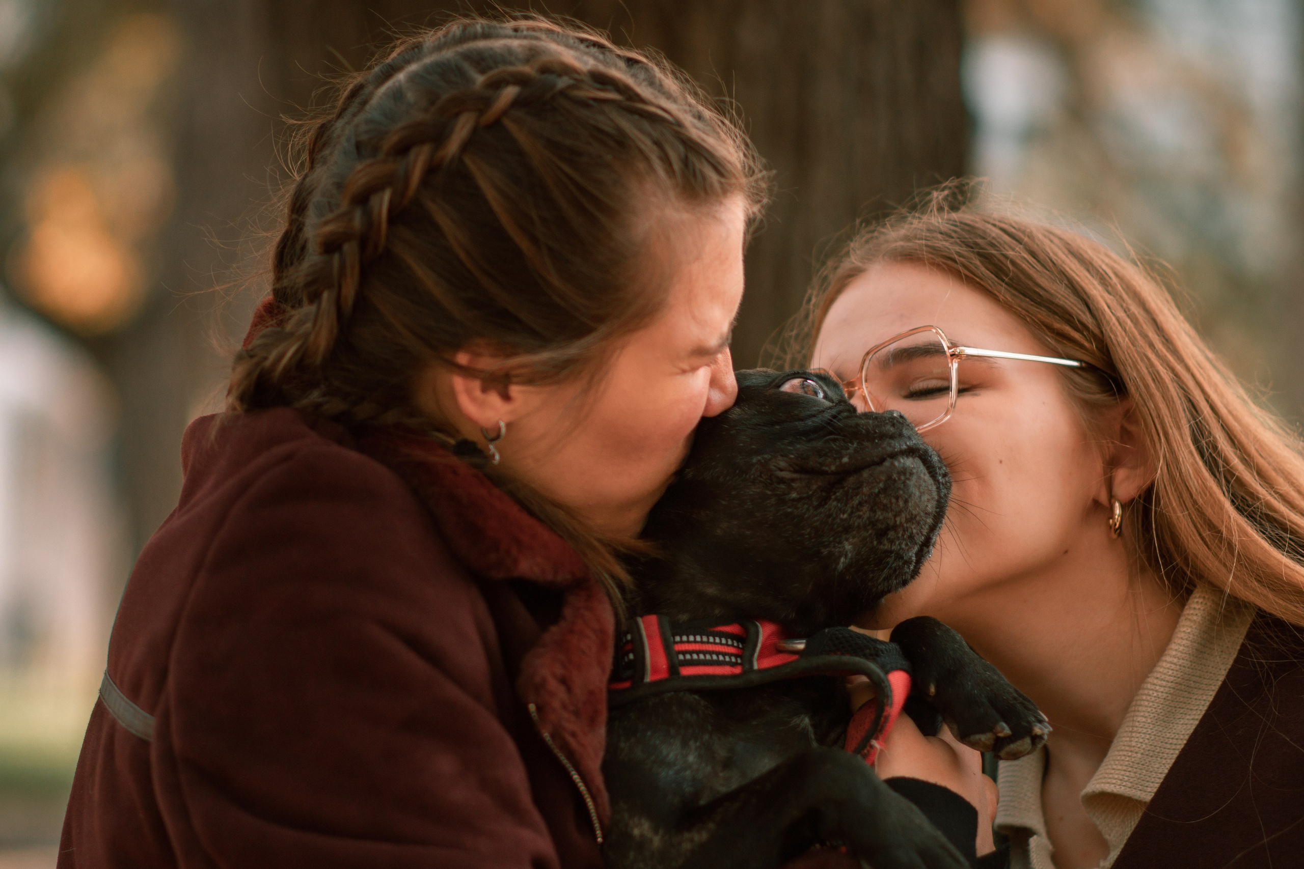 Осень. Семейный и детский фотограф