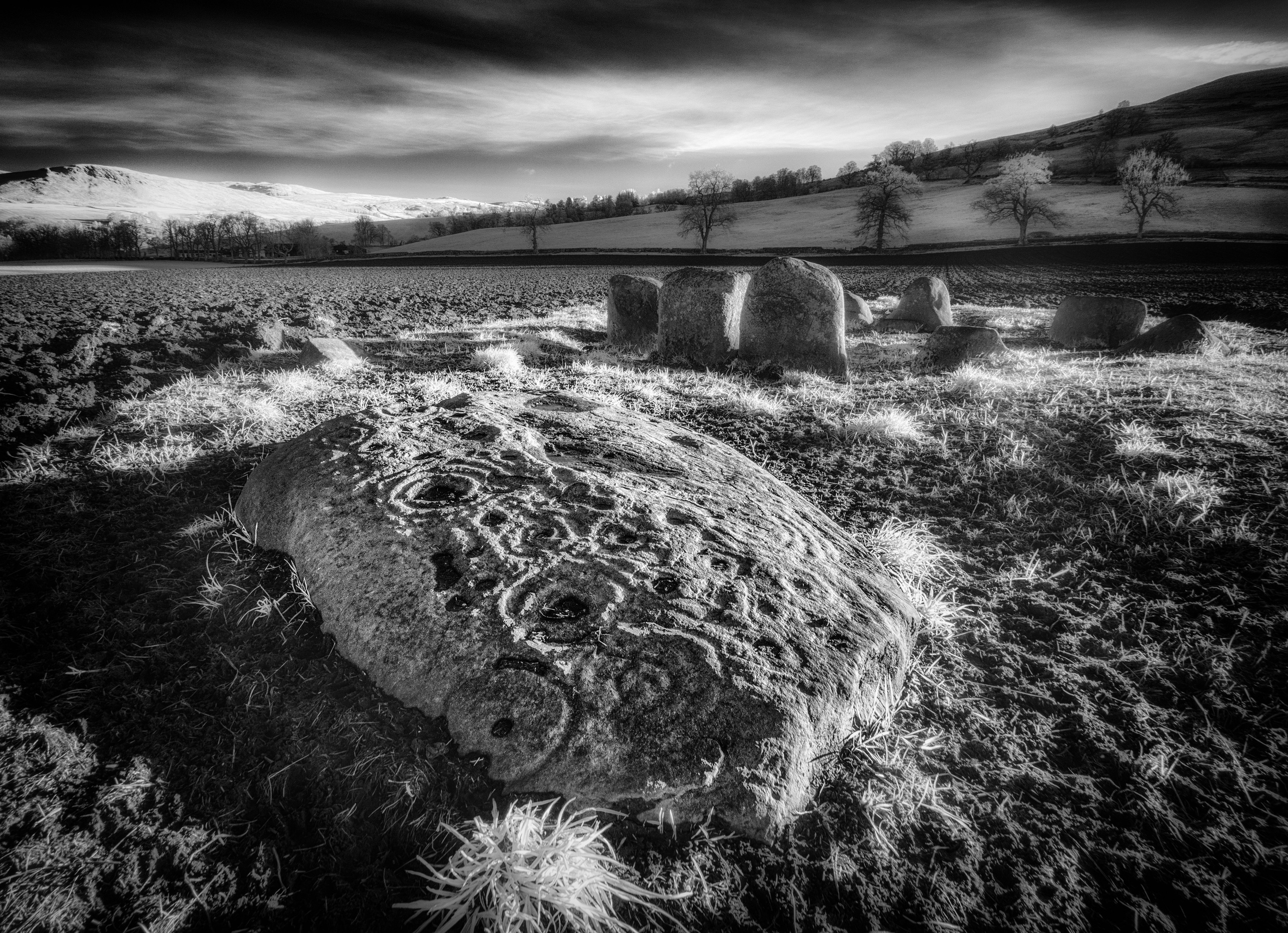 Cup and Ring marked Stone, Monzie, Perthshire