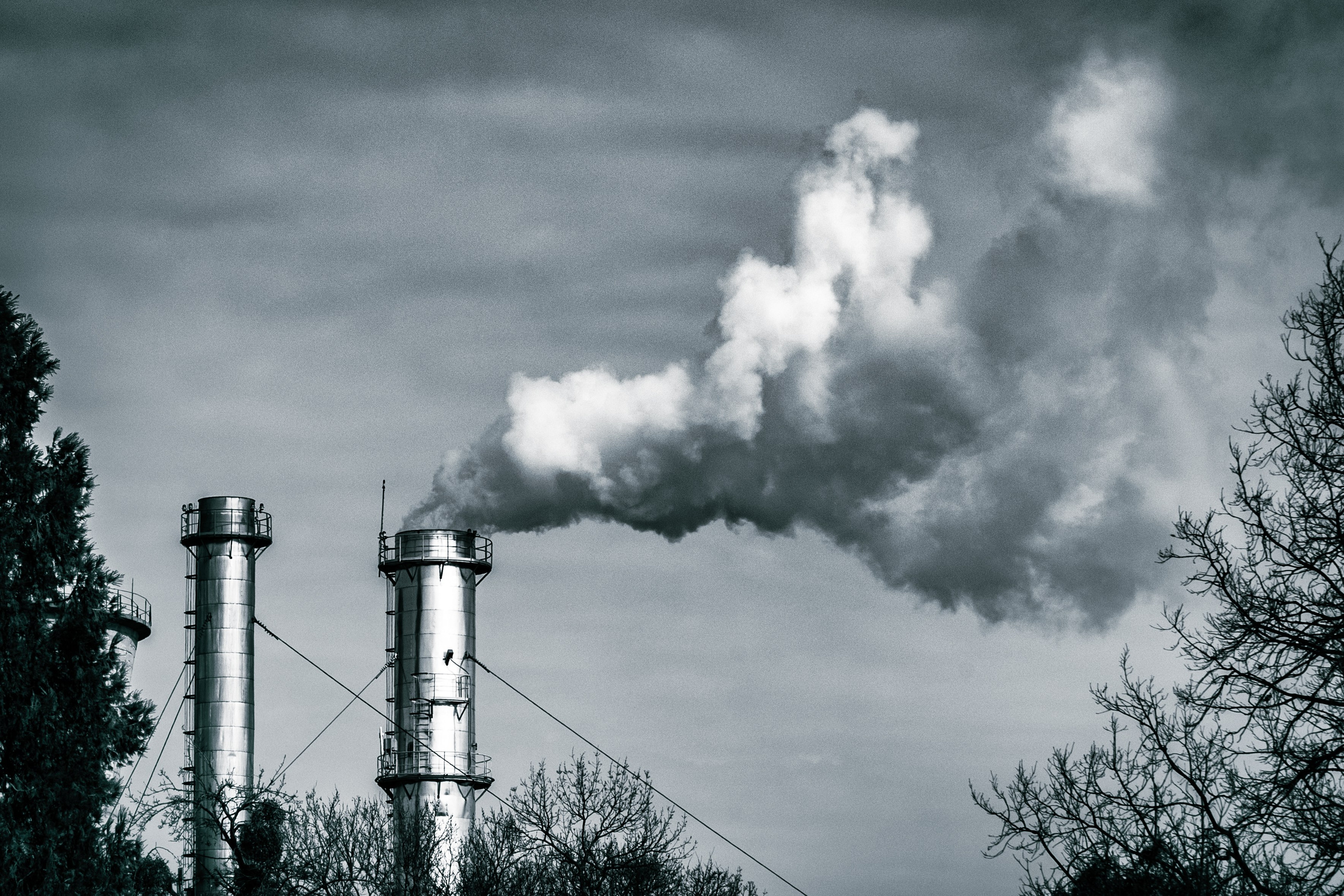 Decor botez tematic pastel – fotografie profesională