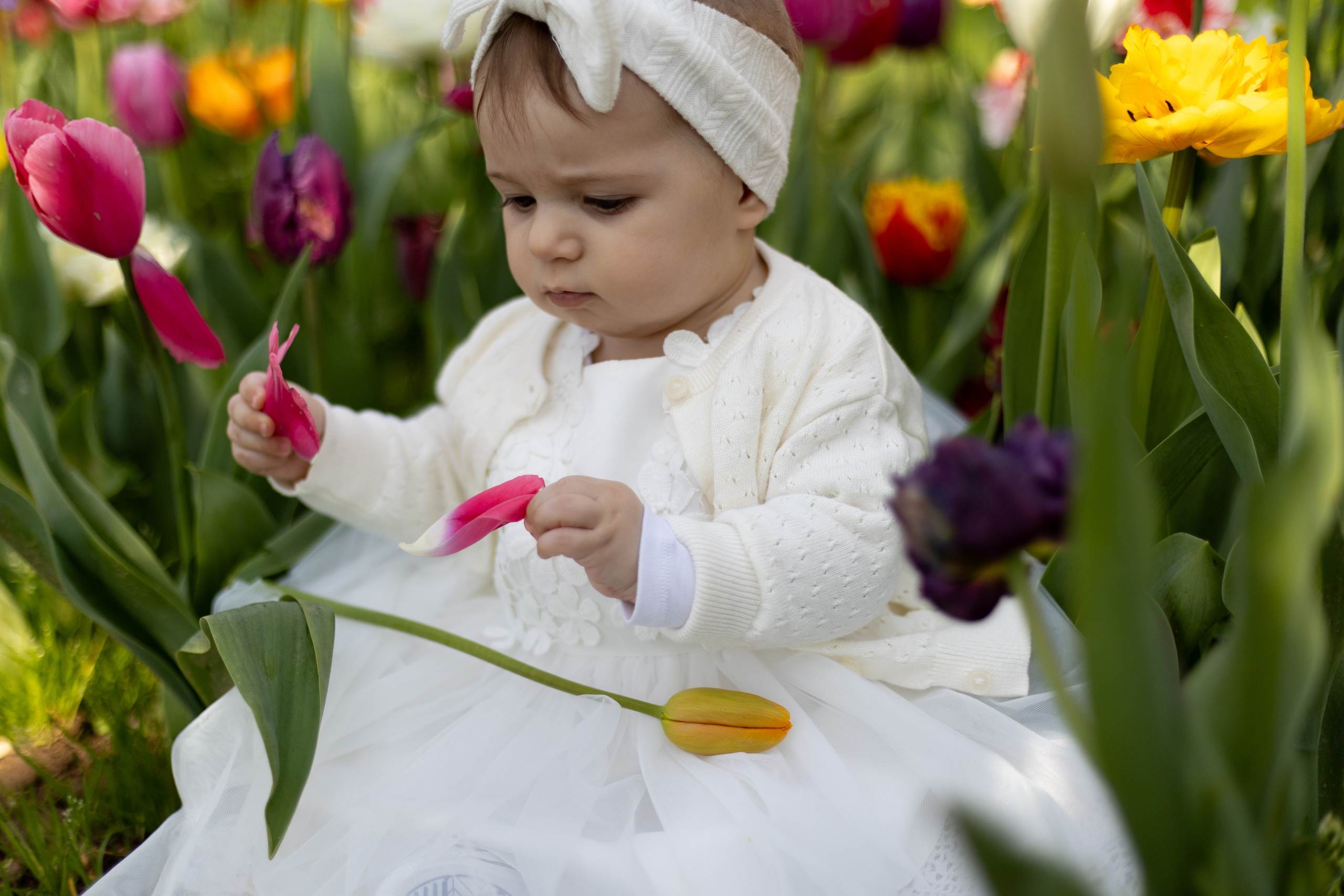 Camilla, Annalisa e Vanni. Luci e Capricci Photography