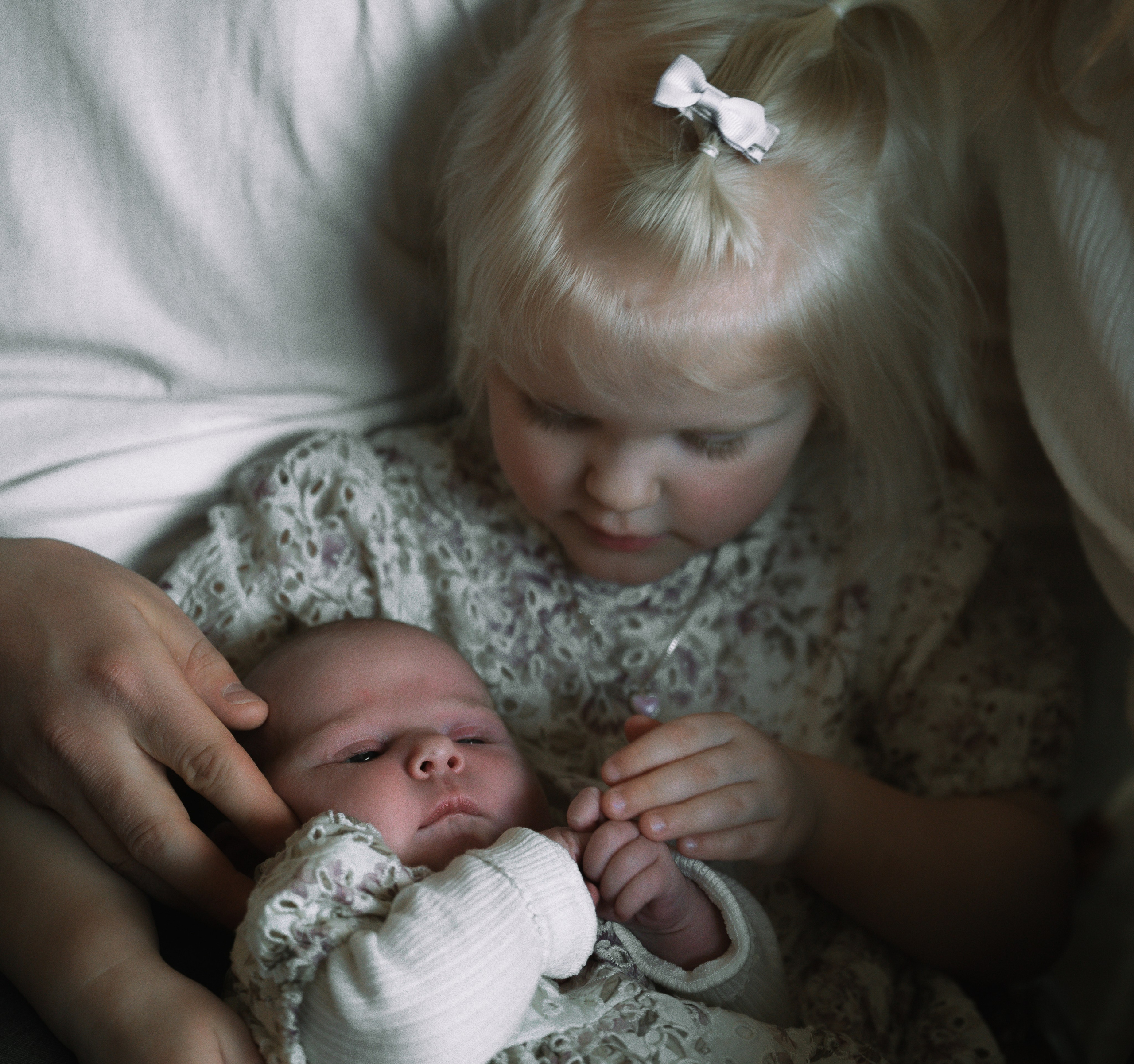 Barn- og familiefotografering. Din fotograf i Narvik kommune