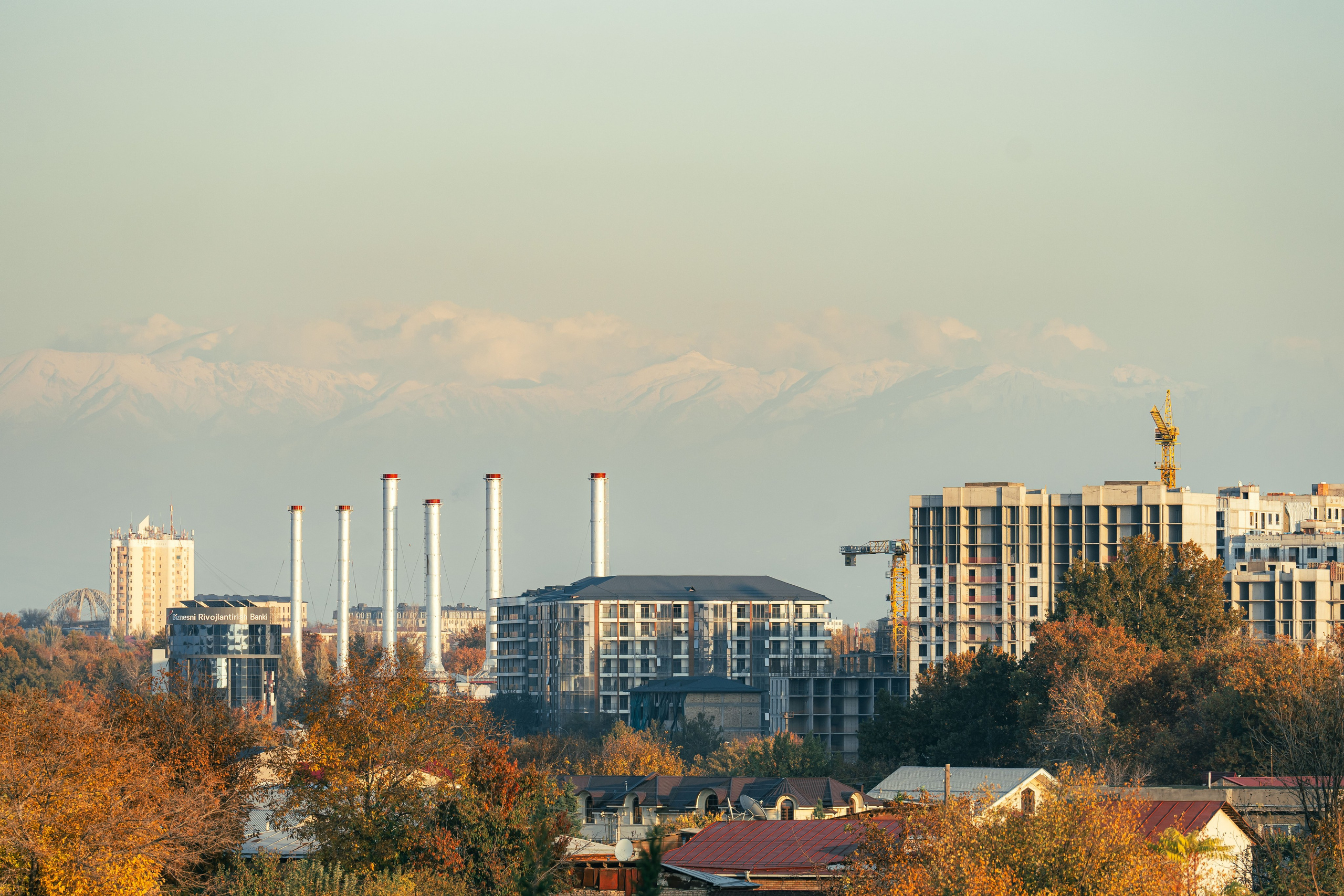 Ташкентская осень. Георгий Намазов | Фотограф в Ташкенте