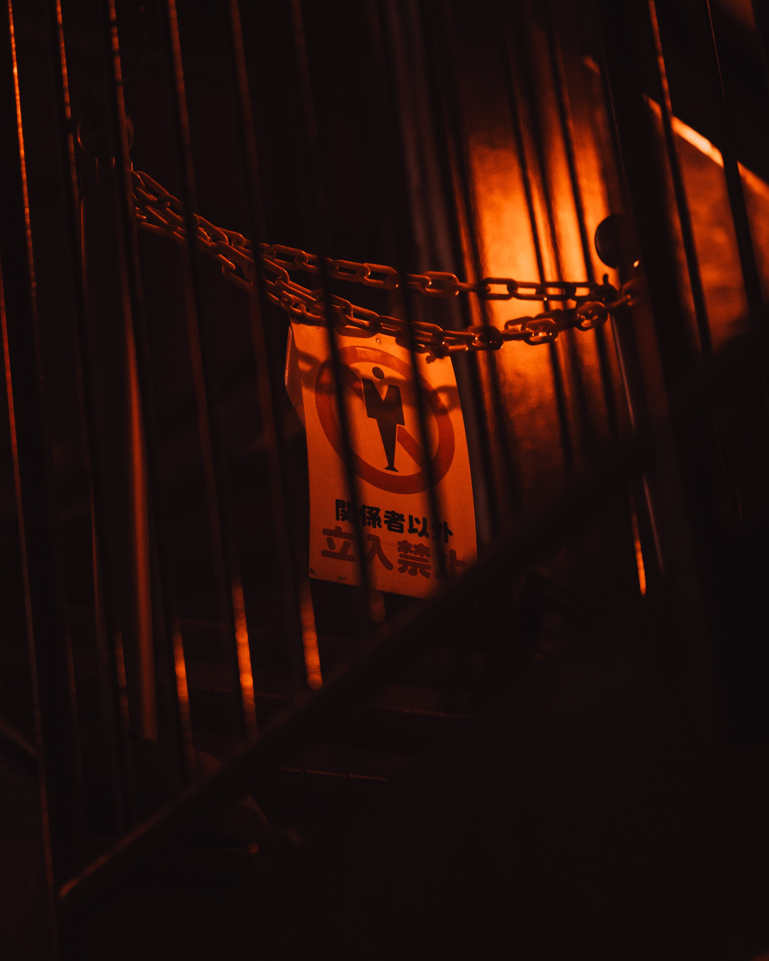 Signature style. Senya JP