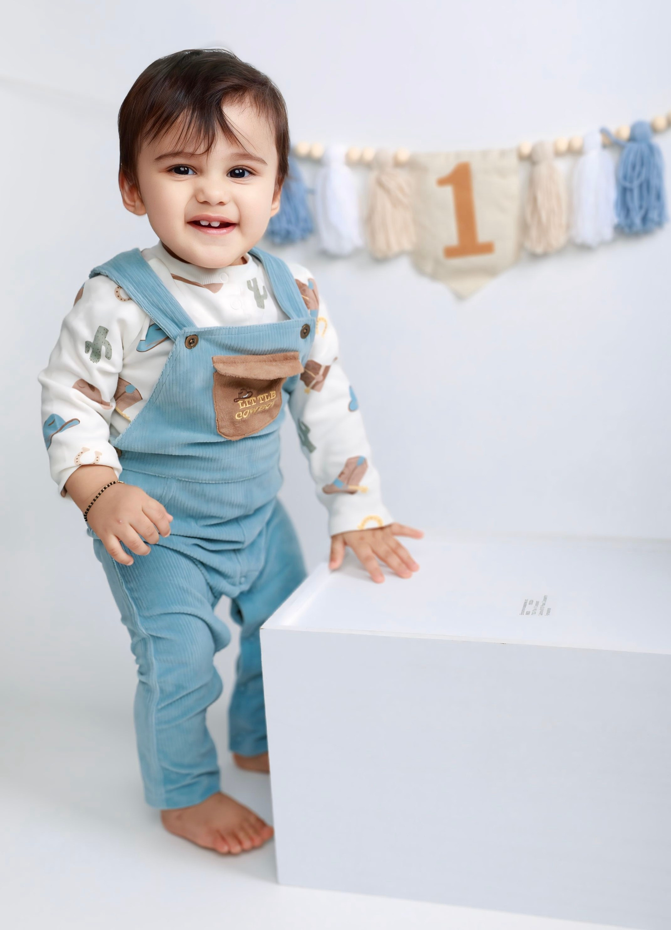 Cakesmash. AP Lens Photography | Newborn, Maternity, Milestone & Family Photographer Little Elm TX