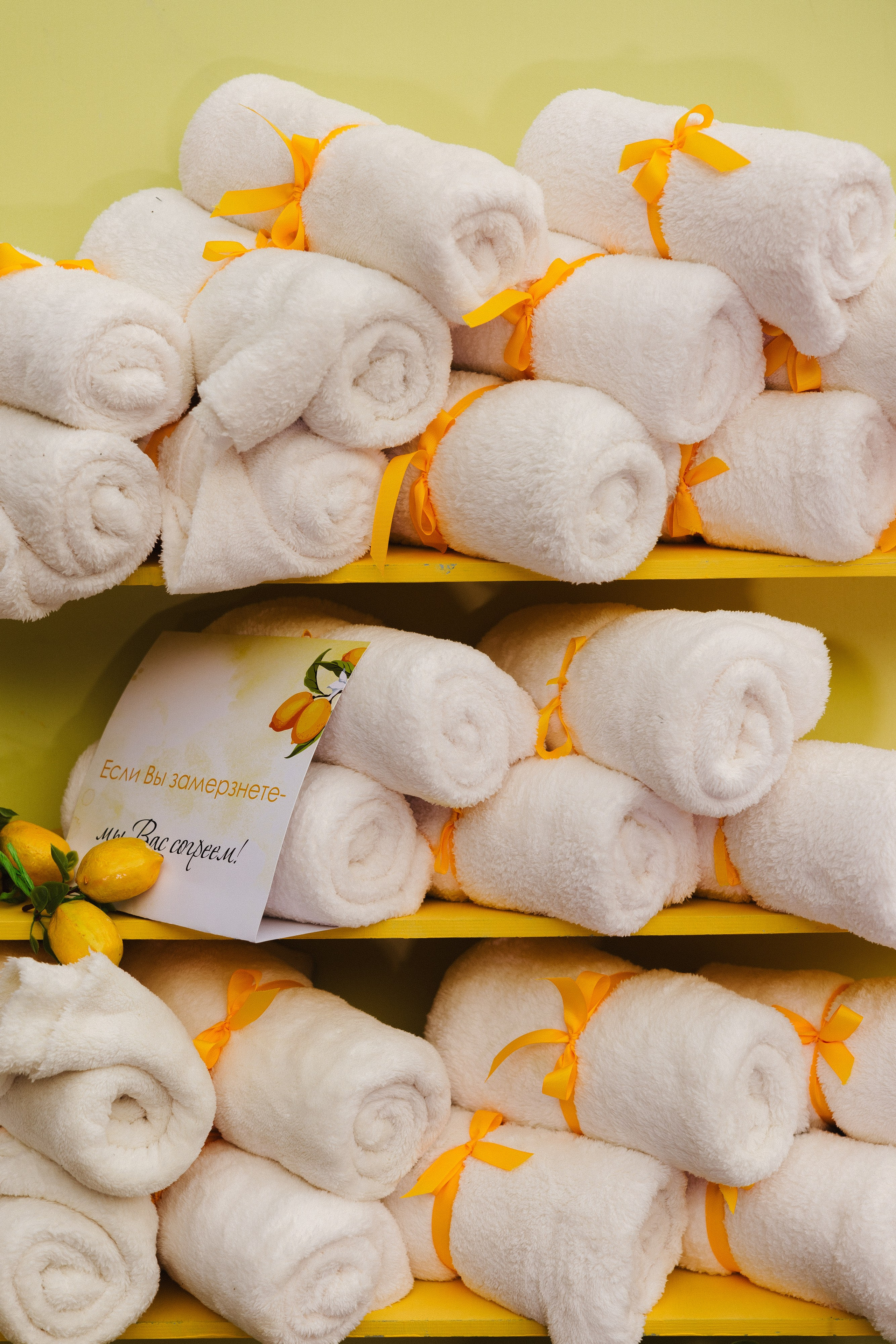 Алмаз и Алина. Азимжан Нуритдинходжаев — свадебный фотограф