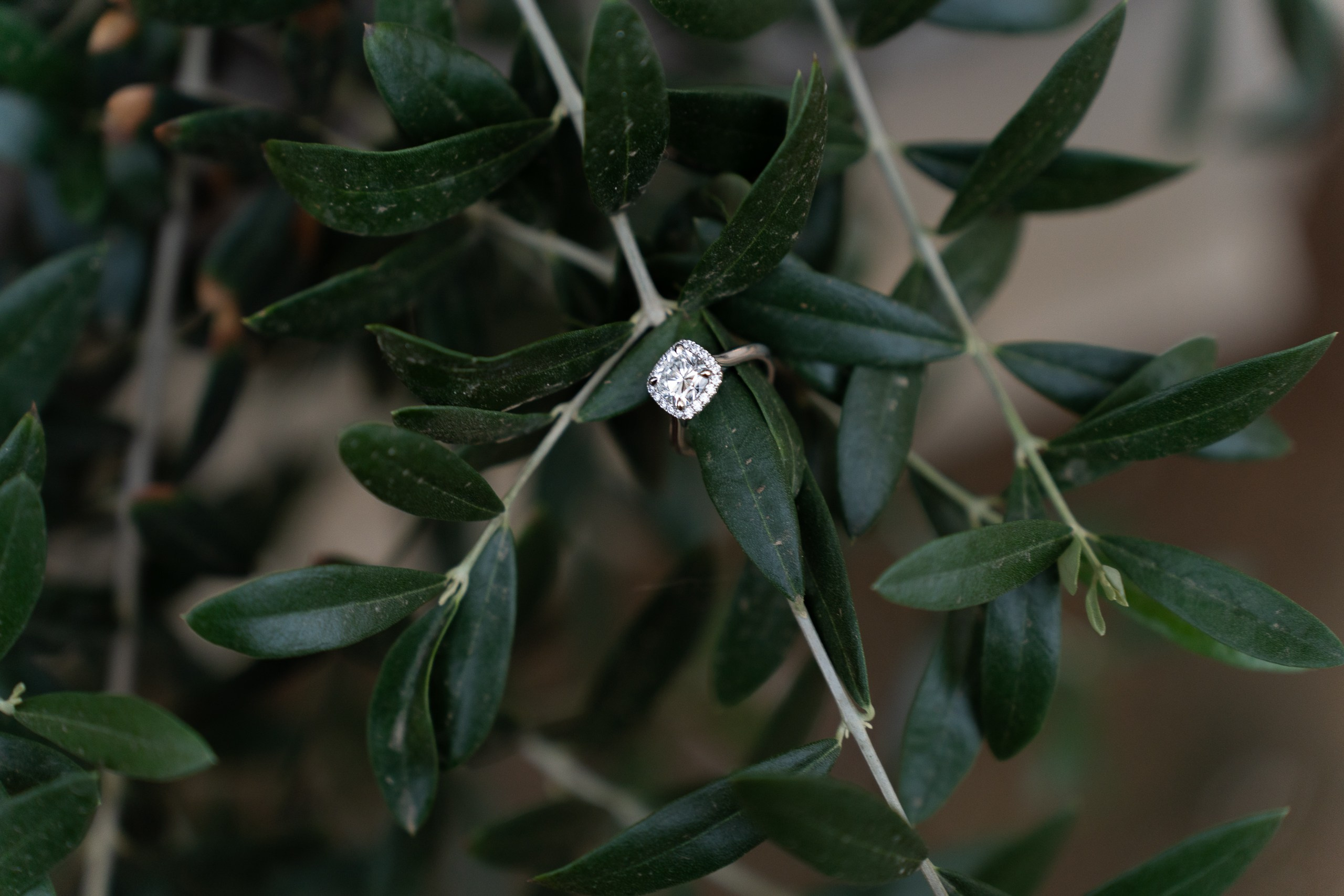 Cinematic Pasadena City Hall Engagement