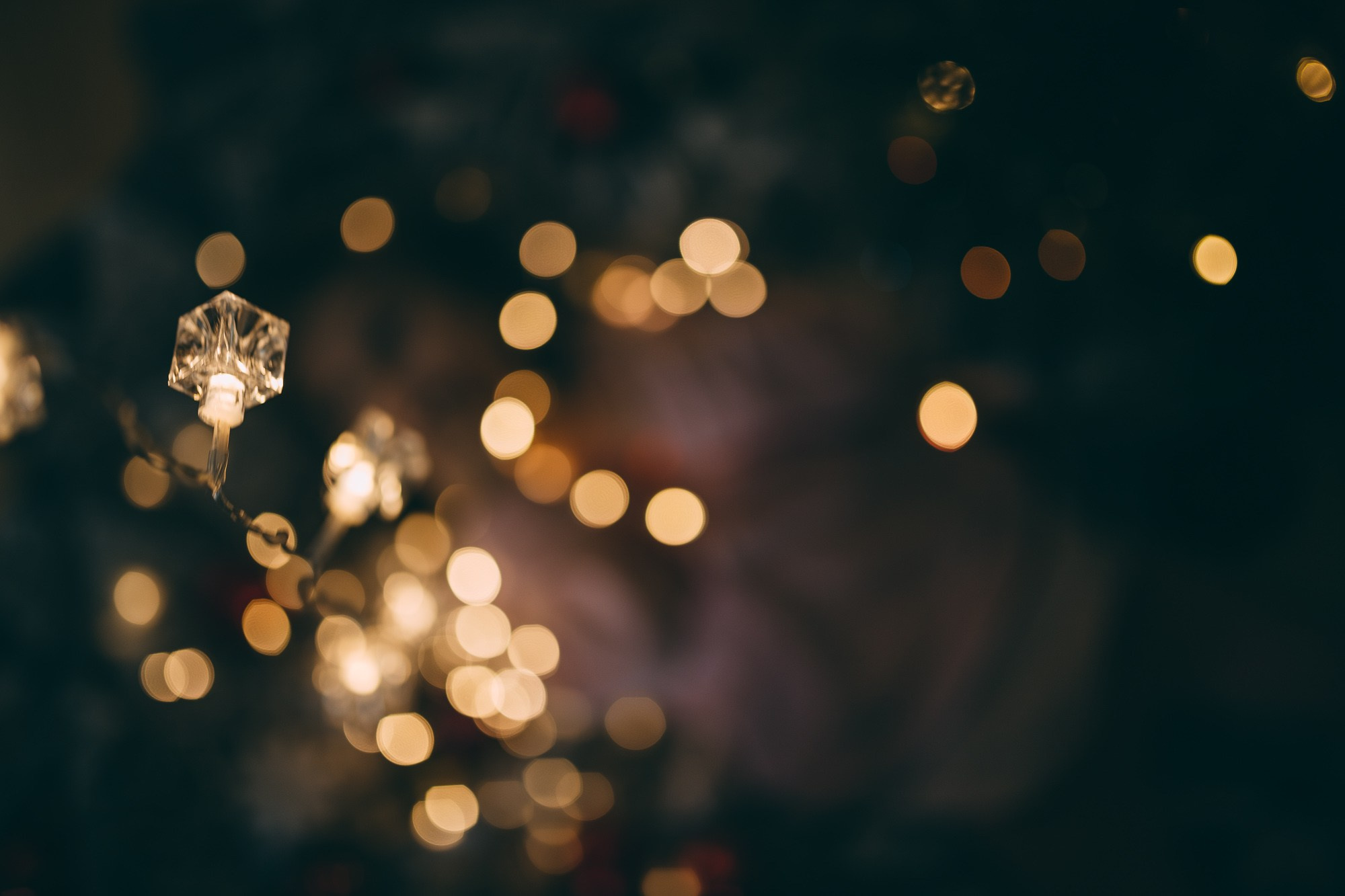 Рождественская фотосессия дома. Fotogrāfs Rīgā — Katerina Gordik