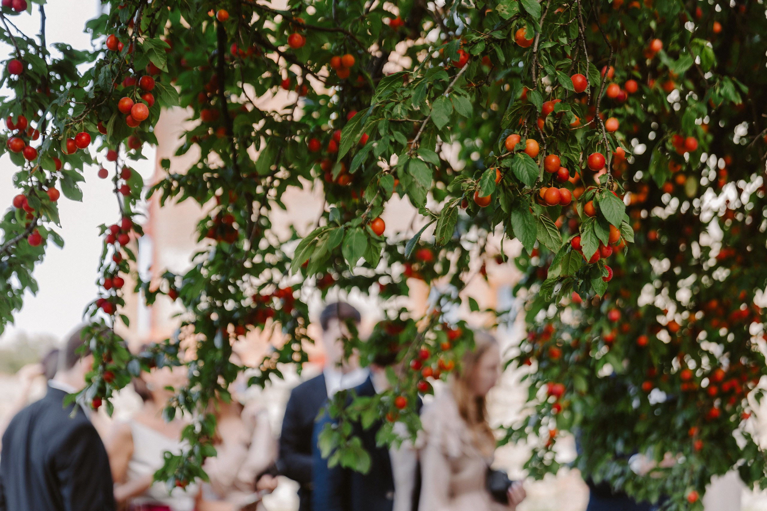 Valentina & Fedor. Photographer Anna Nazarenko