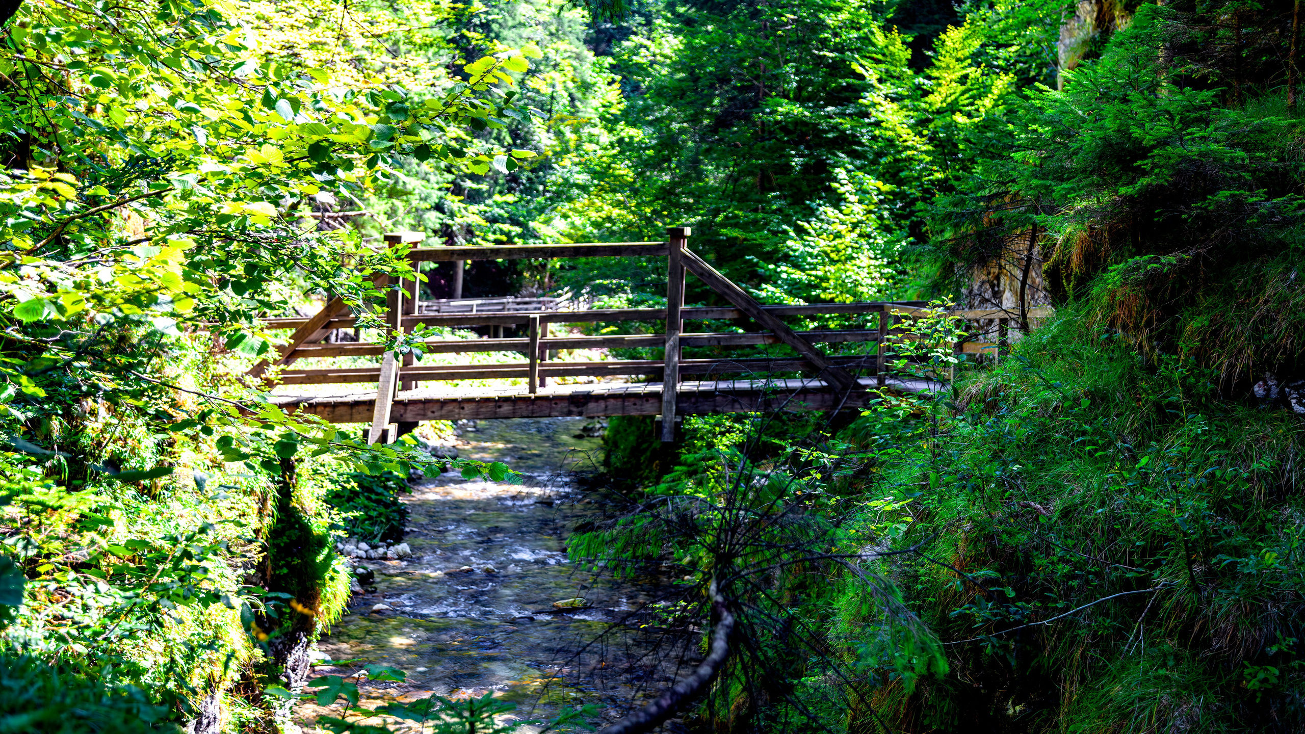 194.Mendlingtal.Austria.19.8.2025. Путешествия в формате 360......