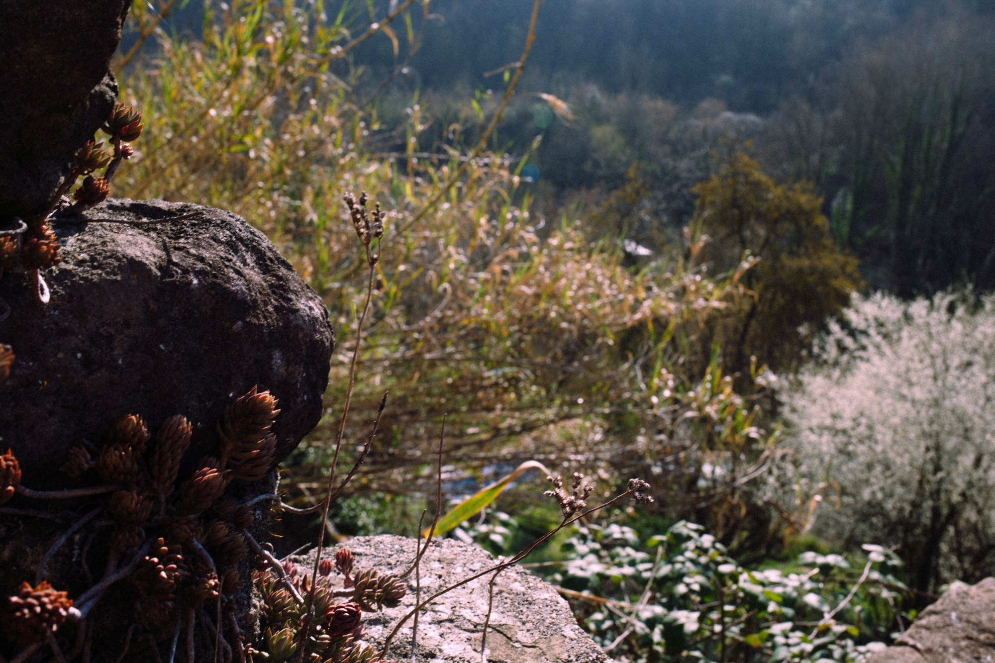 TRIP TO THE MOUNTAINS. Marina Kálcheva – Photographer & Visual Artist in Barcelona