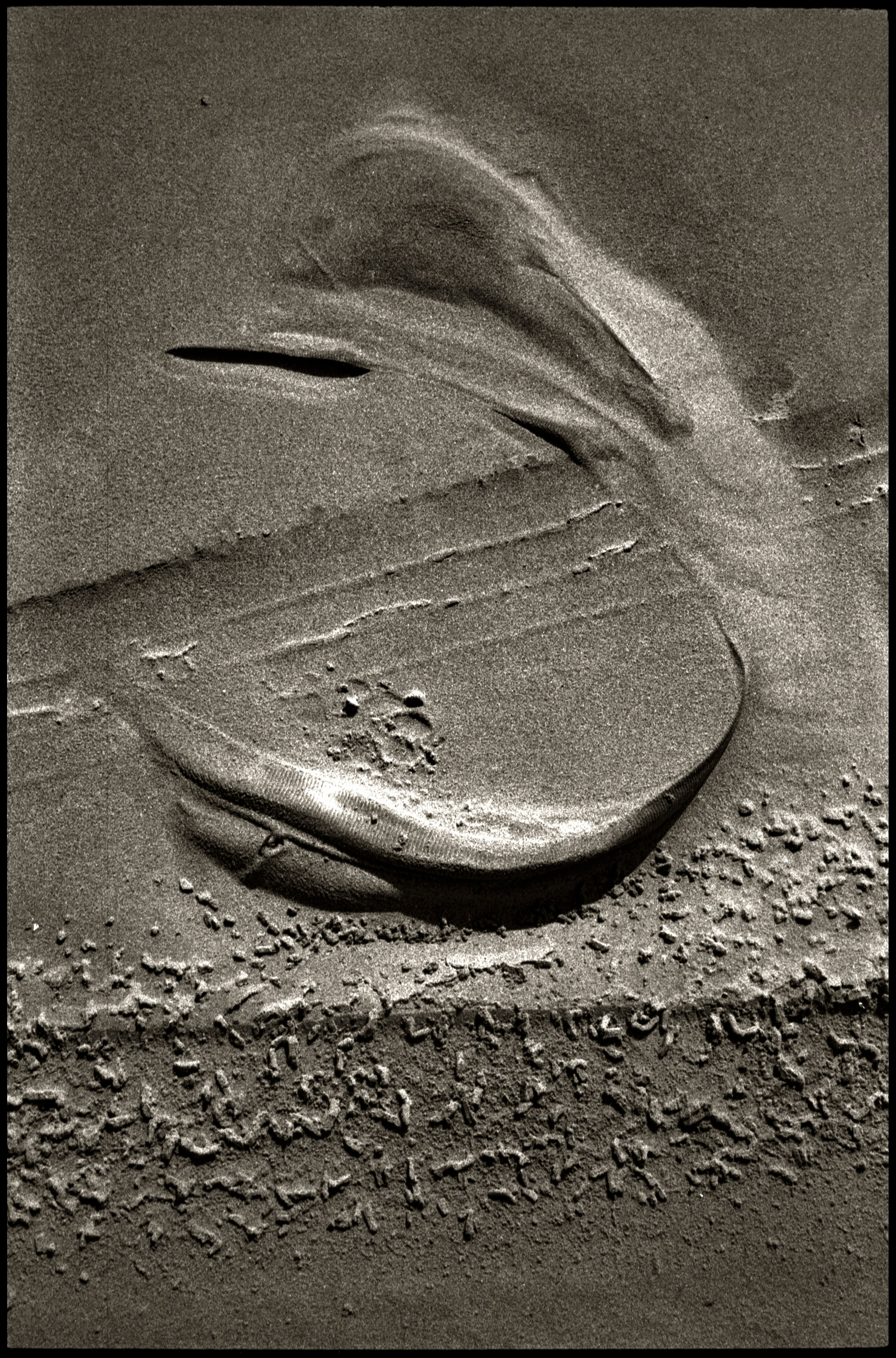 NATURE. Www.sananaleskerov.com