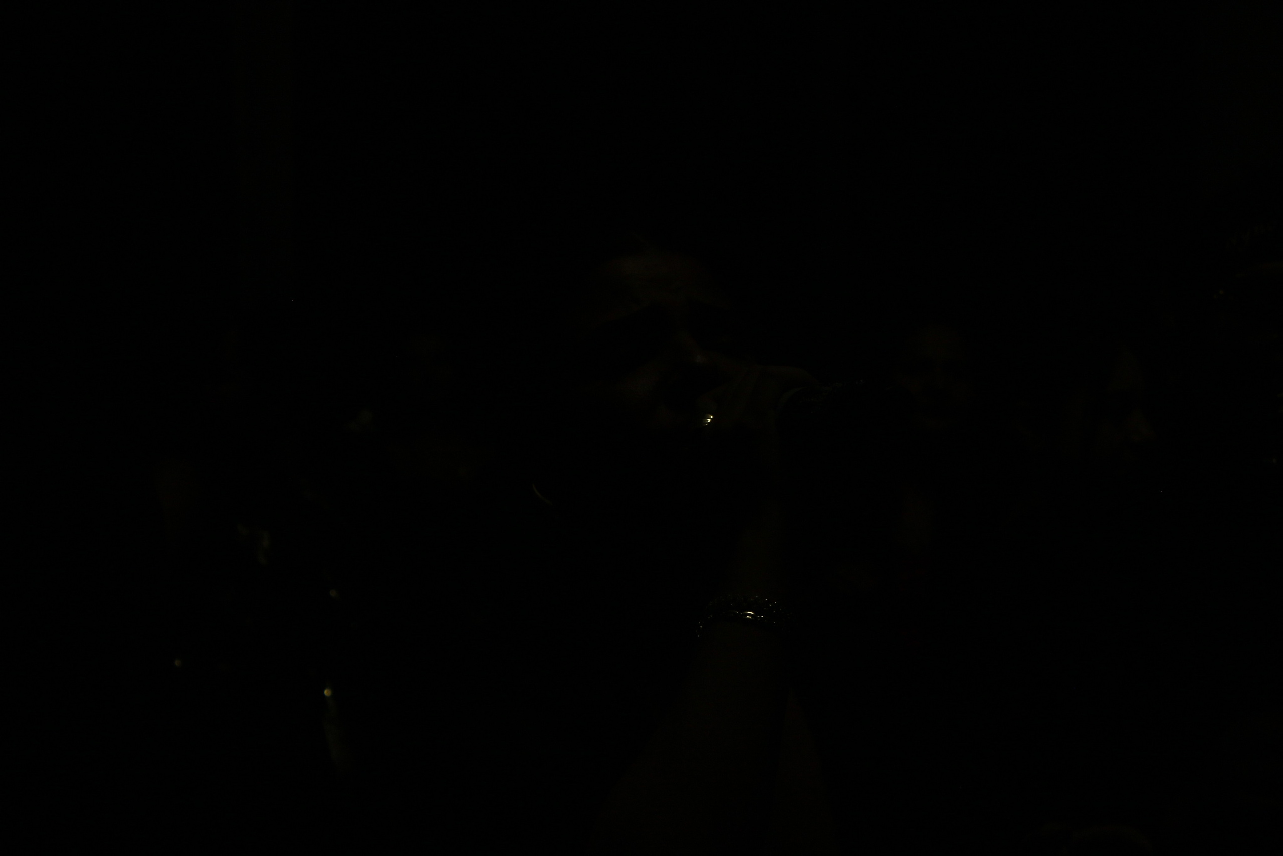 22 08 2024. PETRU BYZO - family and children photographer in ROMANIA