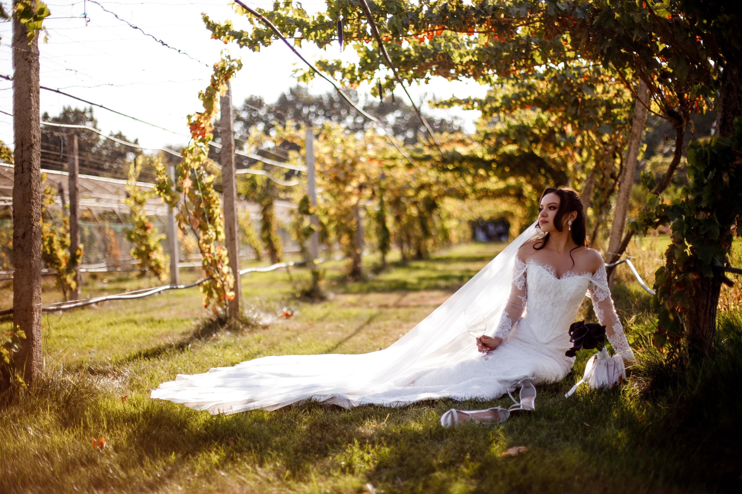 Свадьба на винодельне. Фотограф Вероника Яцына в Ташкенте