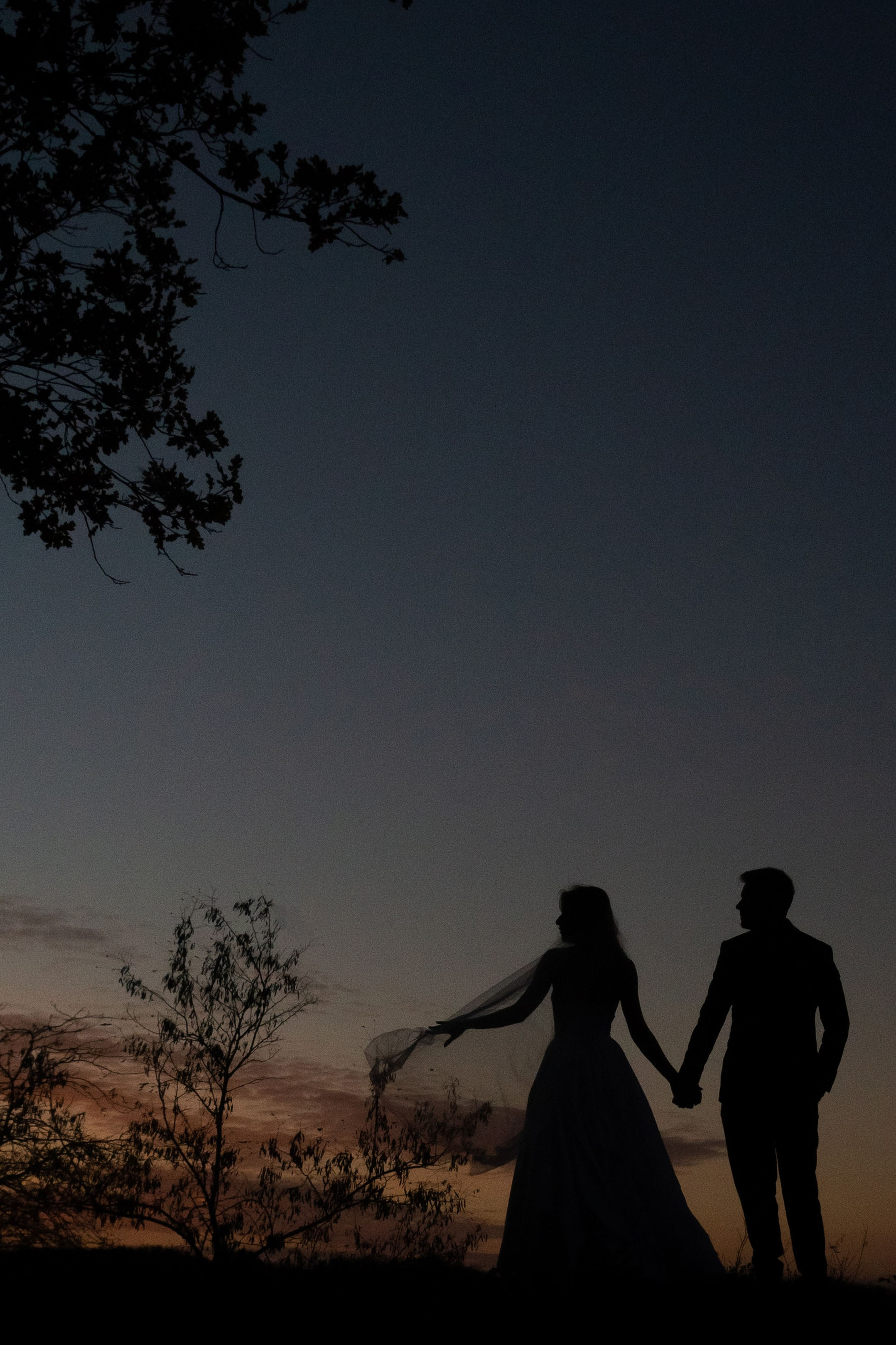 Portofoliu de fotografii profesionale. Fotograf de nuntă și familie Chisinau Moldova