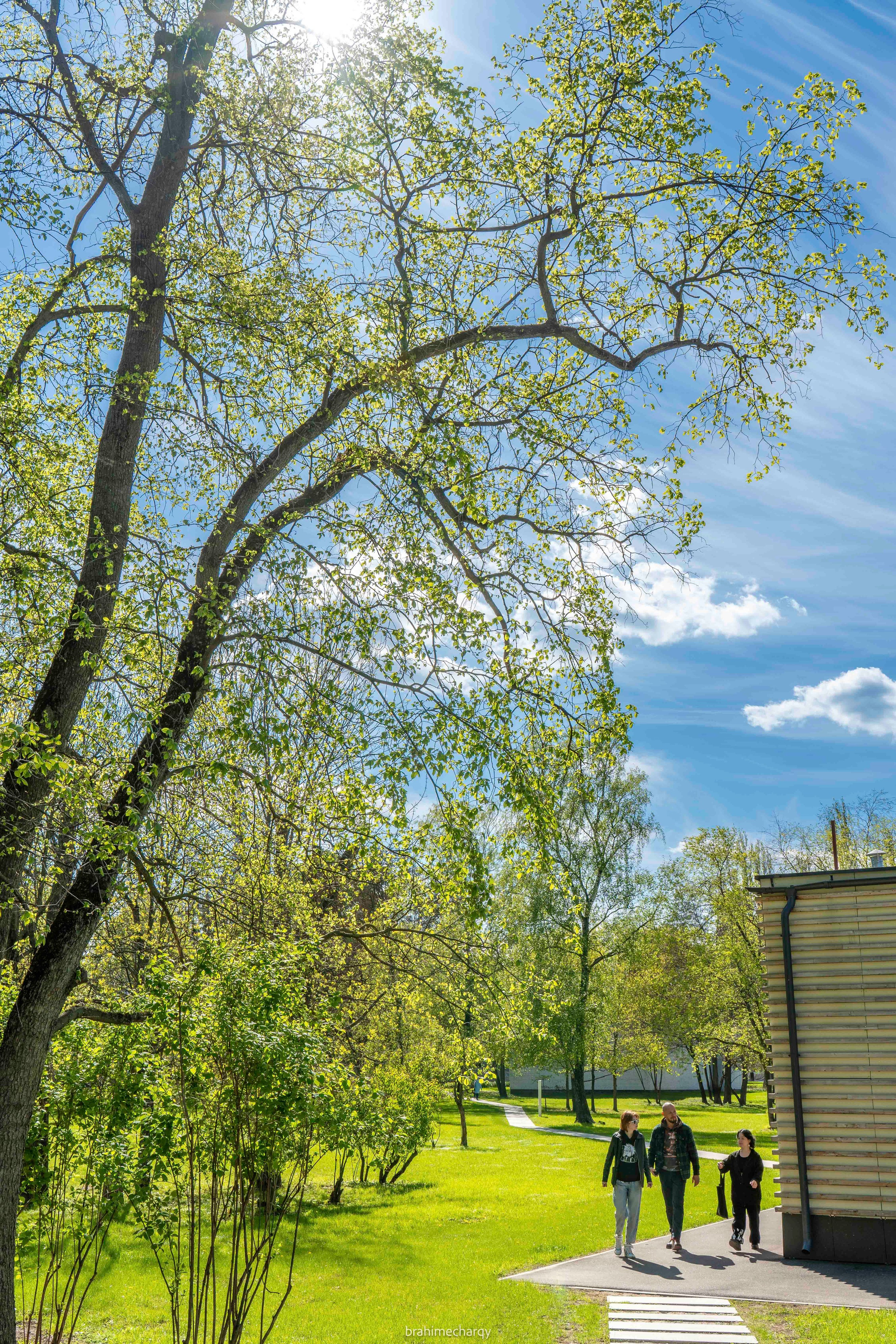 Фото. Брахим — фотограф