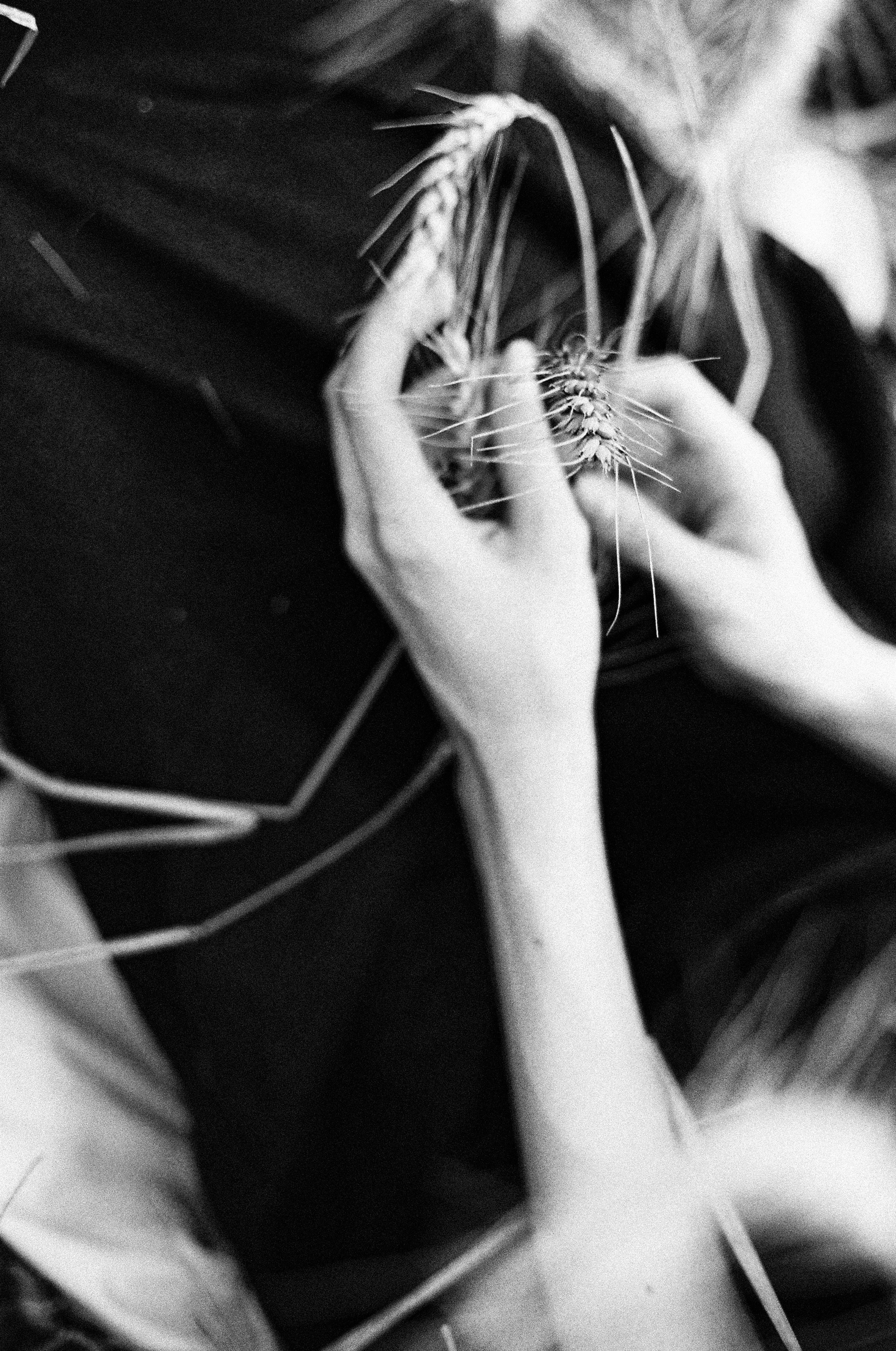 Film. Mariana, Photographer Paris — Фотограф Париж