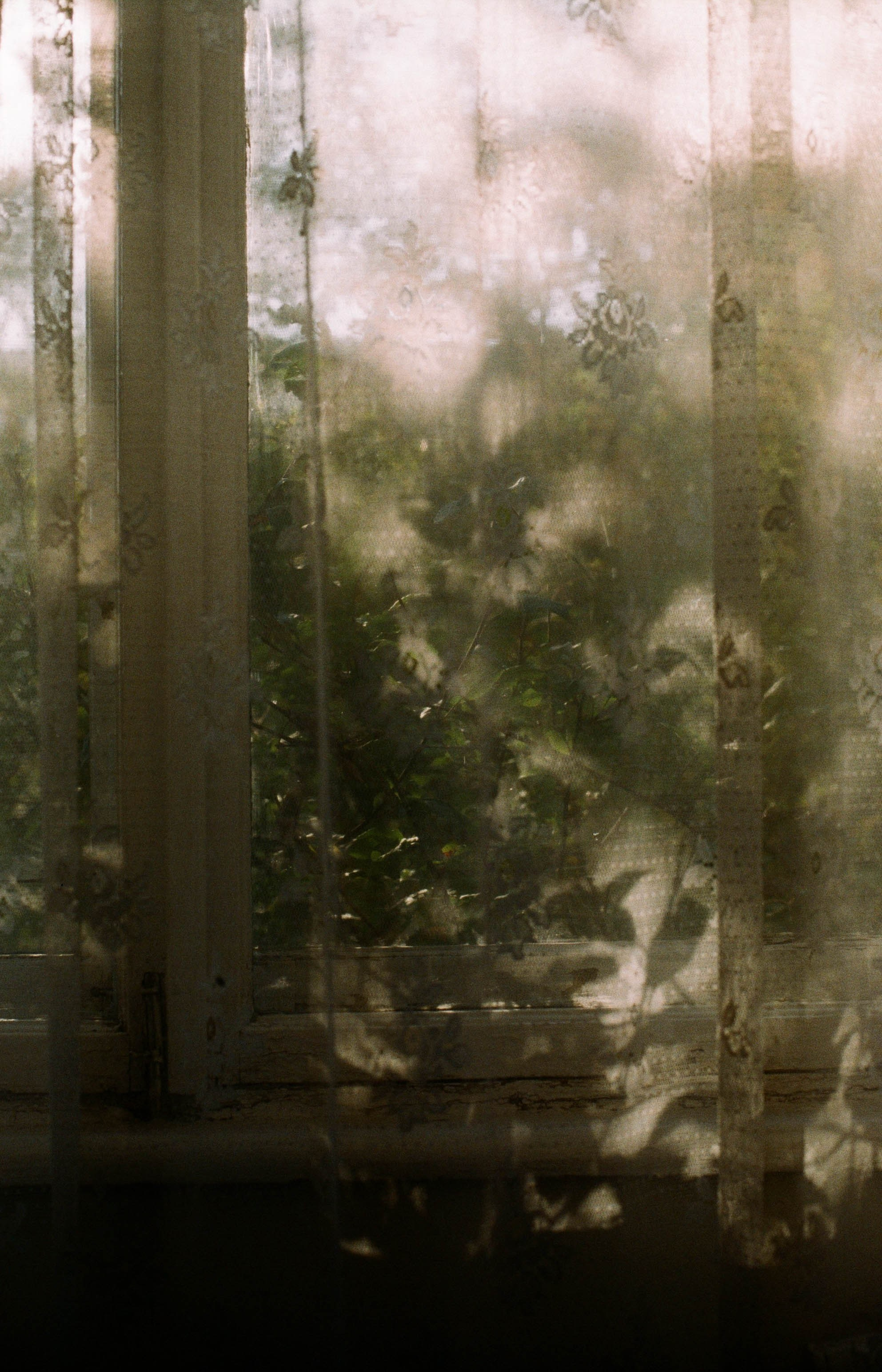 FADE. «Фотохроники»