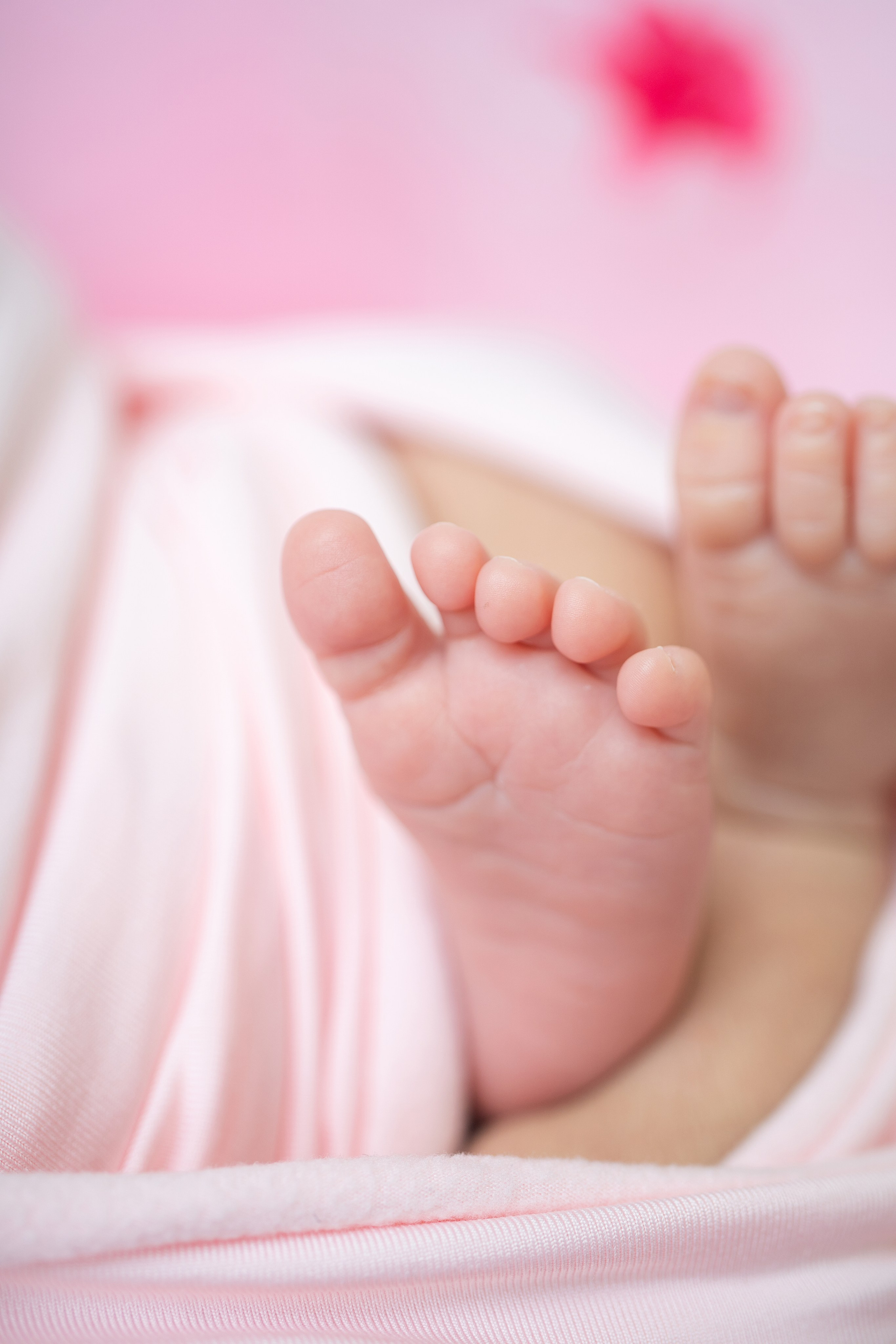 Newborn. Julia Bolgov Photography | Newborn, Family, Maternity & Milestone Photographer in Bay Area, CA