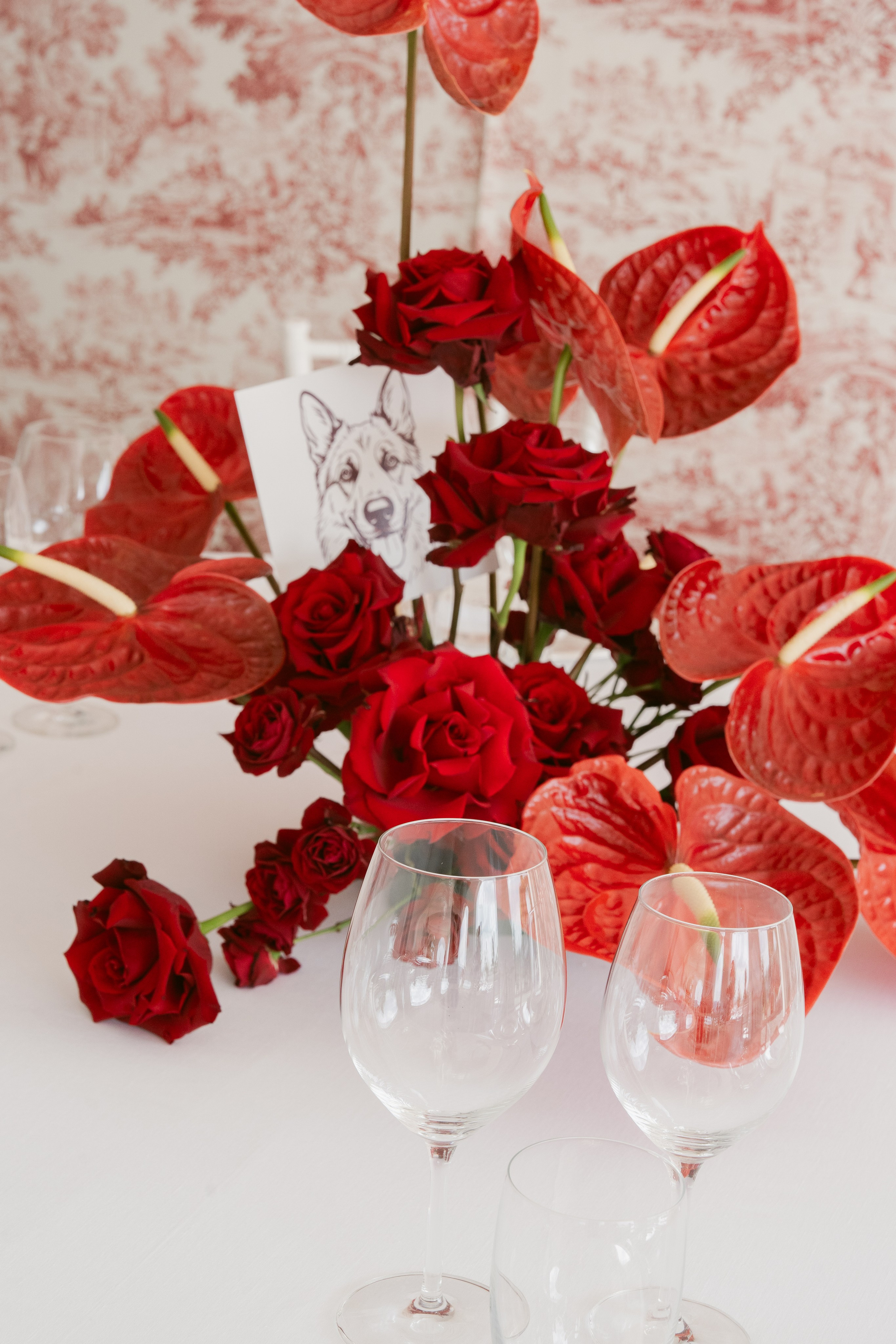 KATE AND CARLO_CASALE MONFERATO. PHOTOGRAPHER IN ITALY