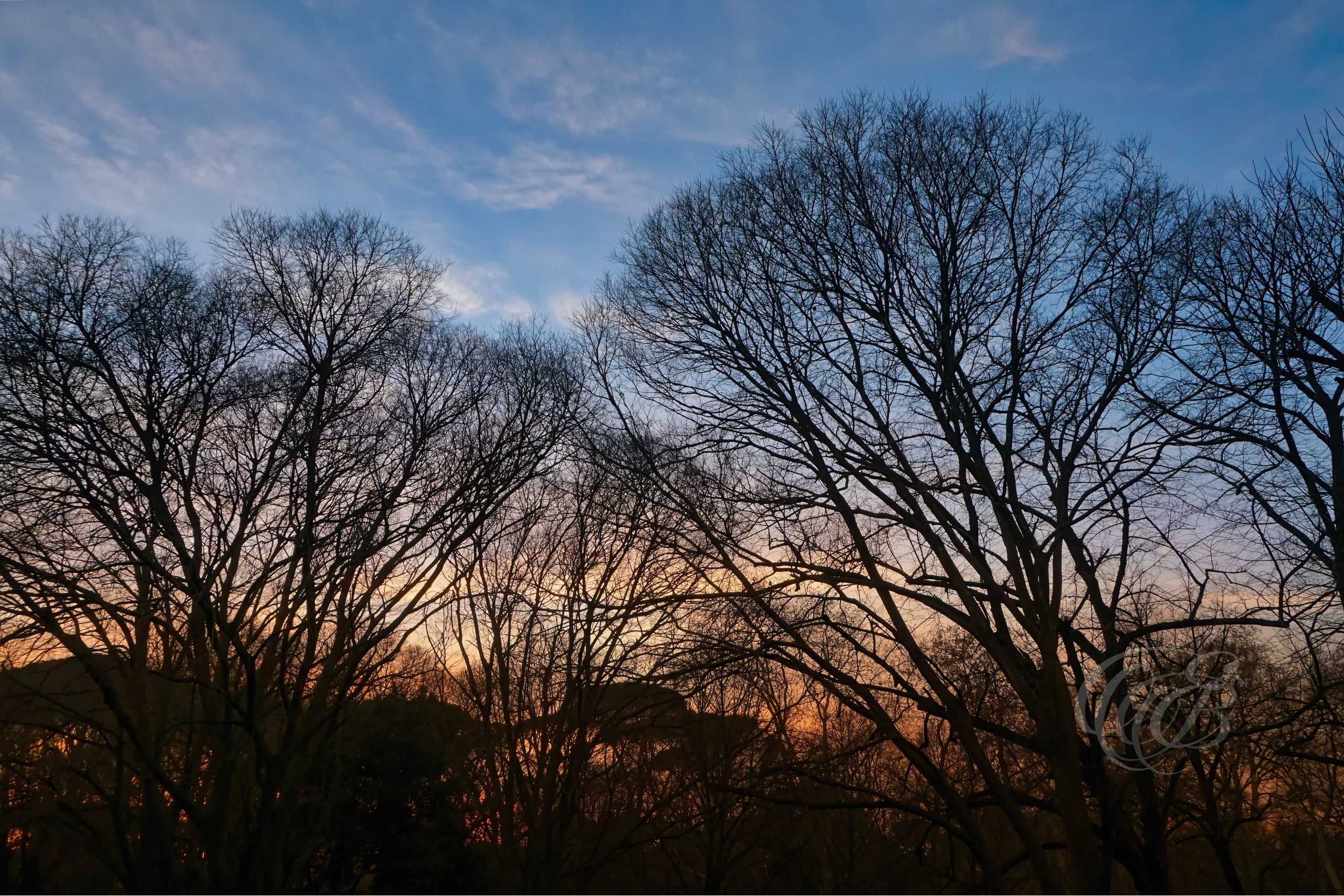 Rome Italy — Villa Borghese gardens woodlands at blue hour — Eduardo Bartoli Fine Art Photography — Photograph of the woodlands in Villa Borghese gardens during late afternoon blue hour with red hues in Rome, Italy — photography by Eduardo Bartoli.