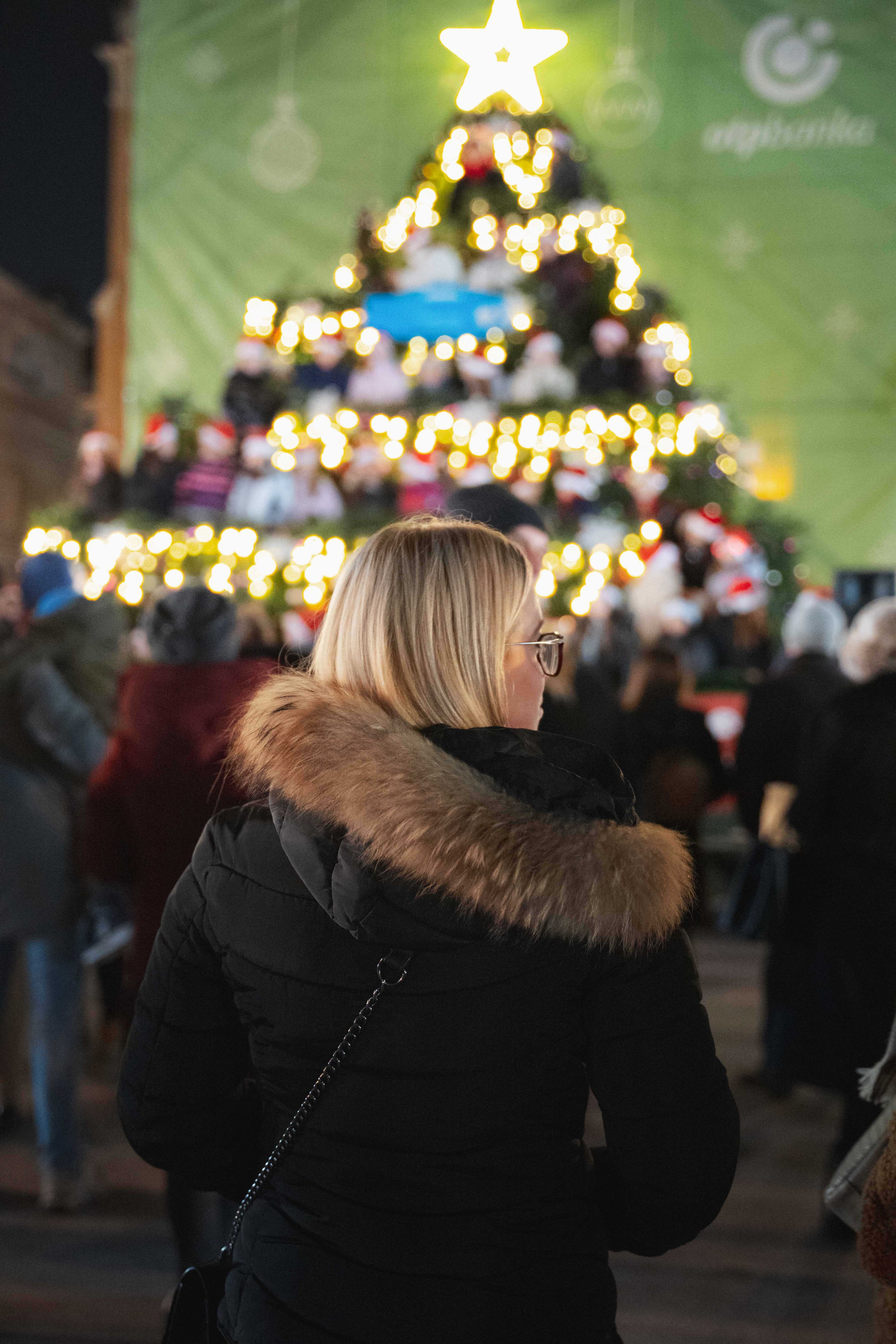 Novosadski Zimzolend. Жуков Студио
