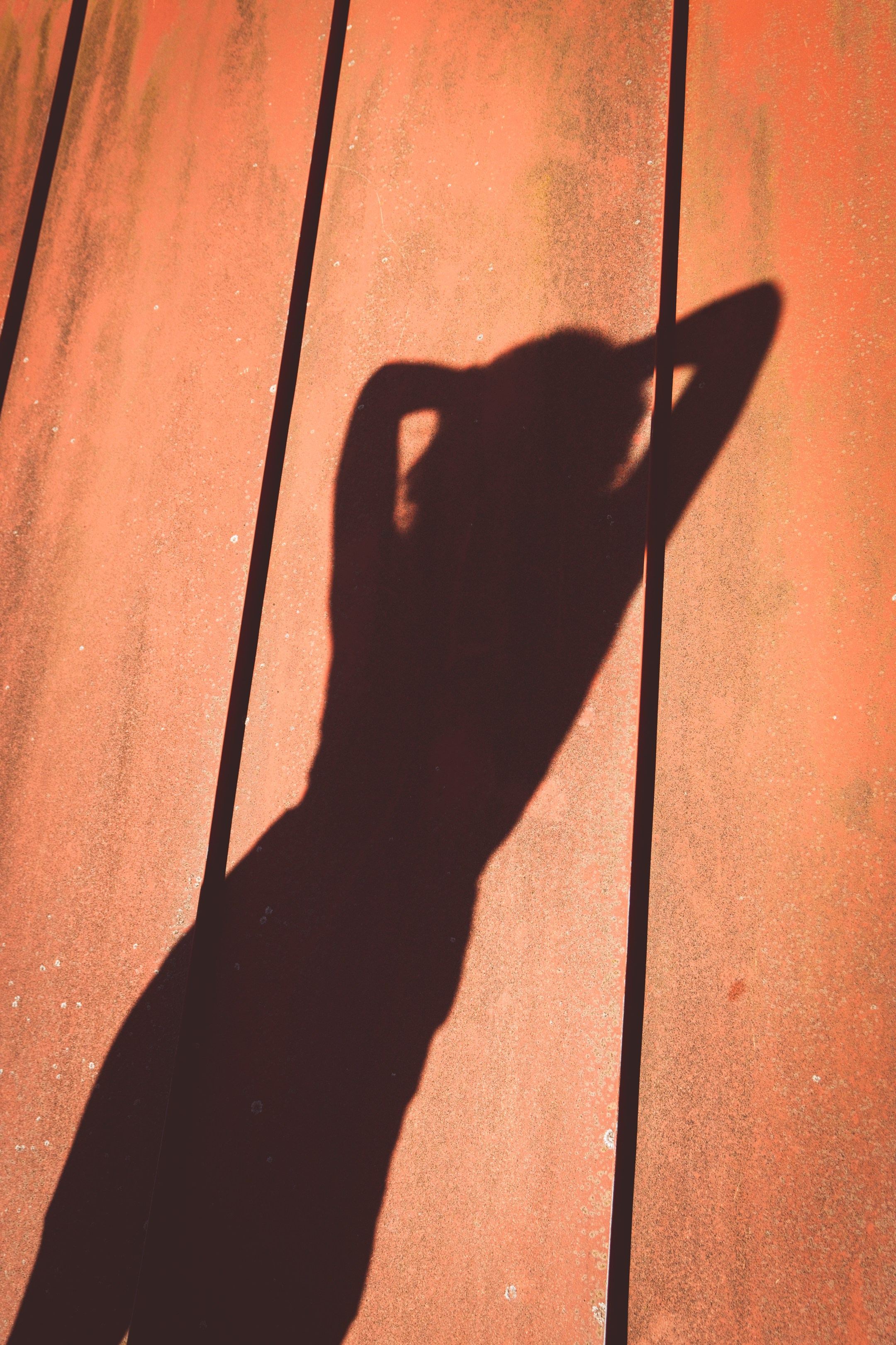 Lahe graatsia (Sonja). Nebula 25 — Fotod teie hingele