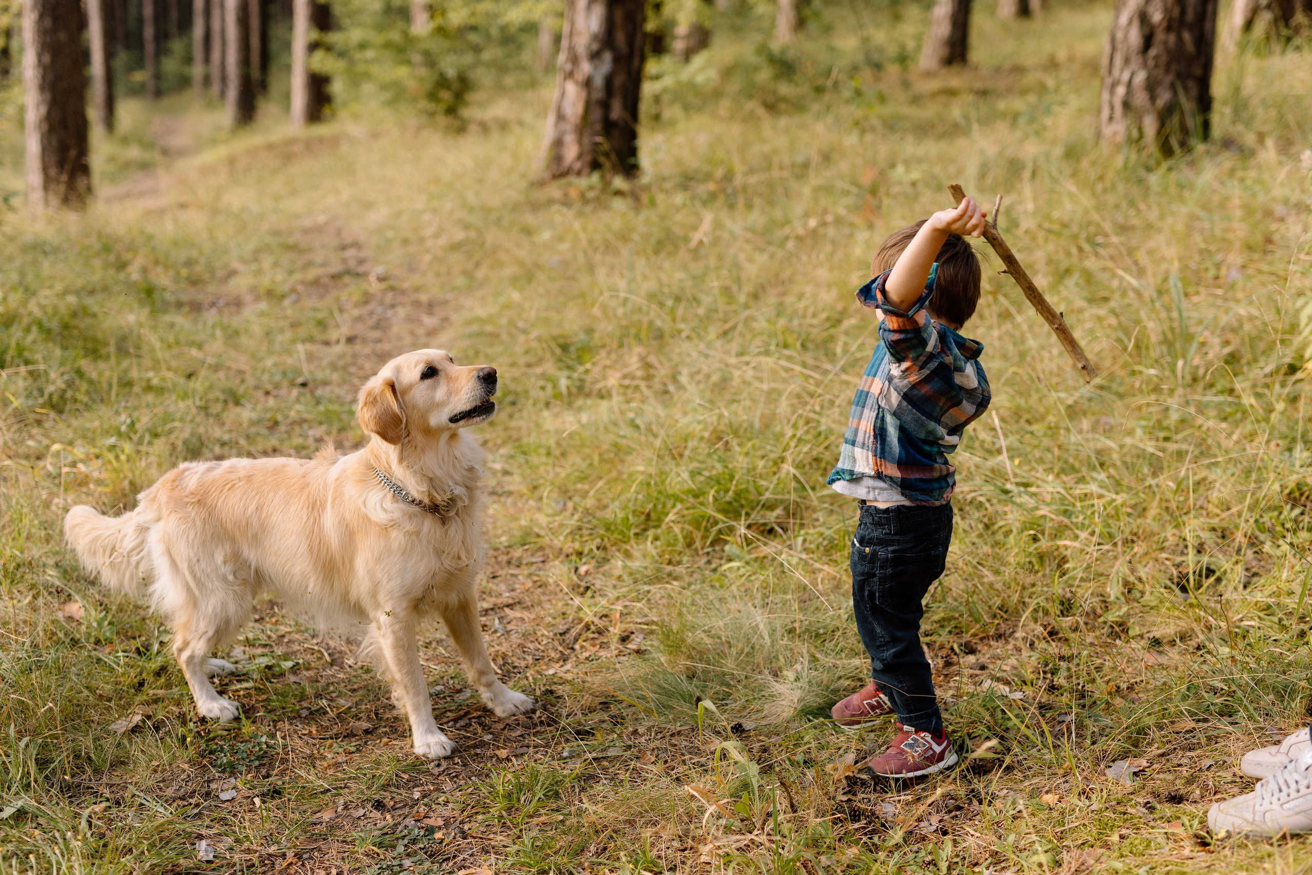 Sanziana, Daniel & Alexandru — Family. Main