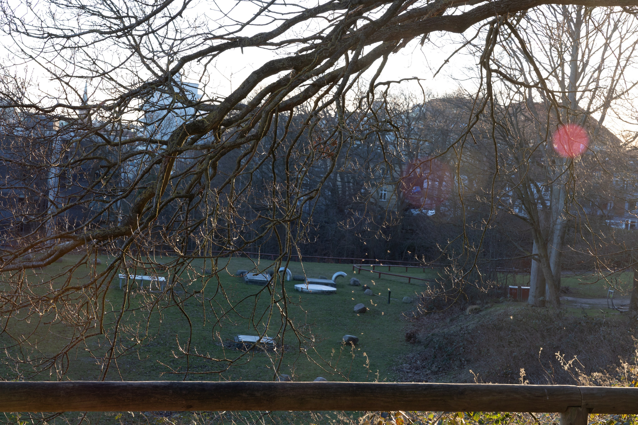 Forår. Fotograf Aarhus | Portrætfoto Århus | Flotte billeder