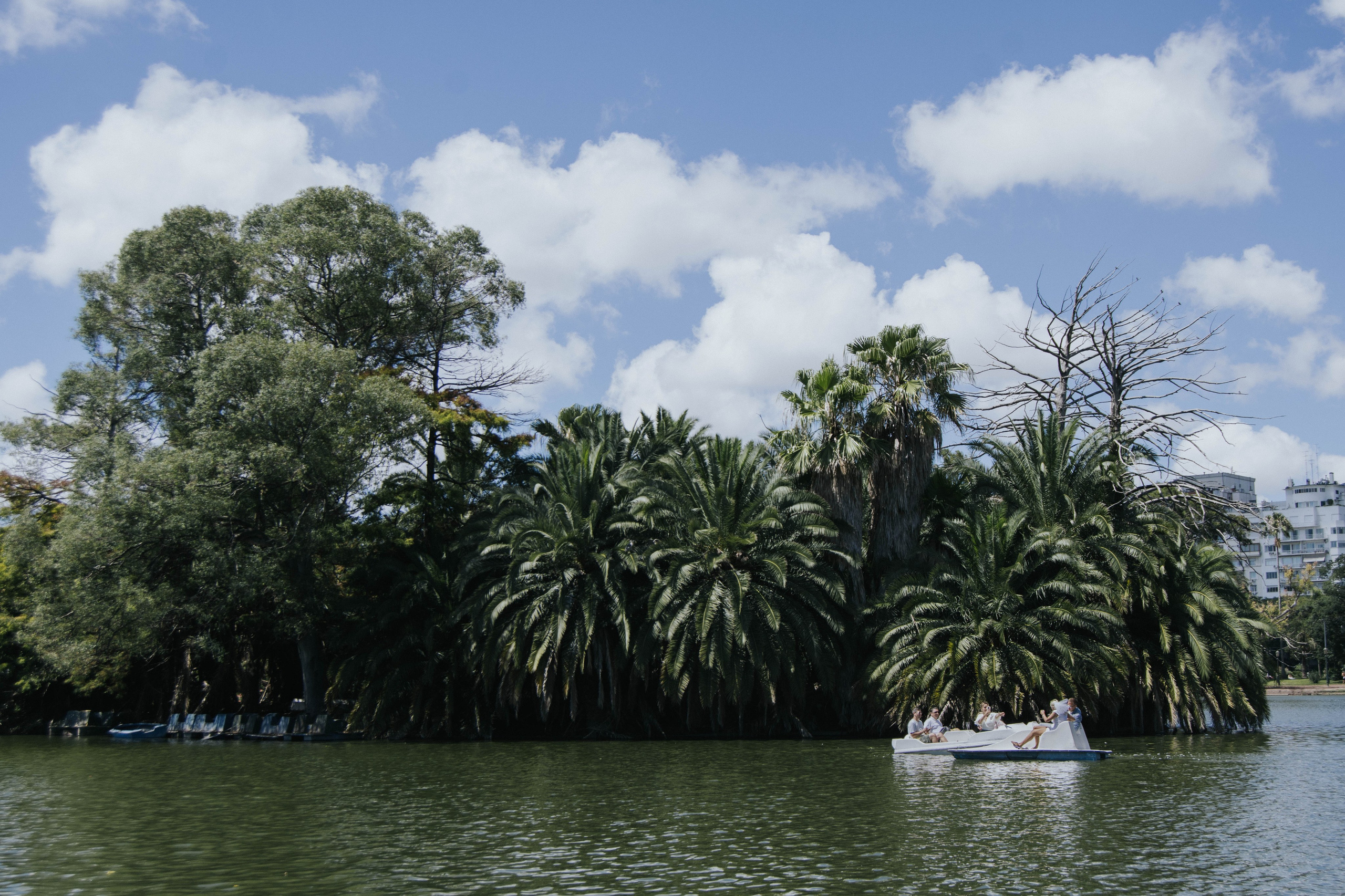 Wedding. Reportage shoots in Buenos Aires. Photographer @elmirkami in the city of Buenos Aires