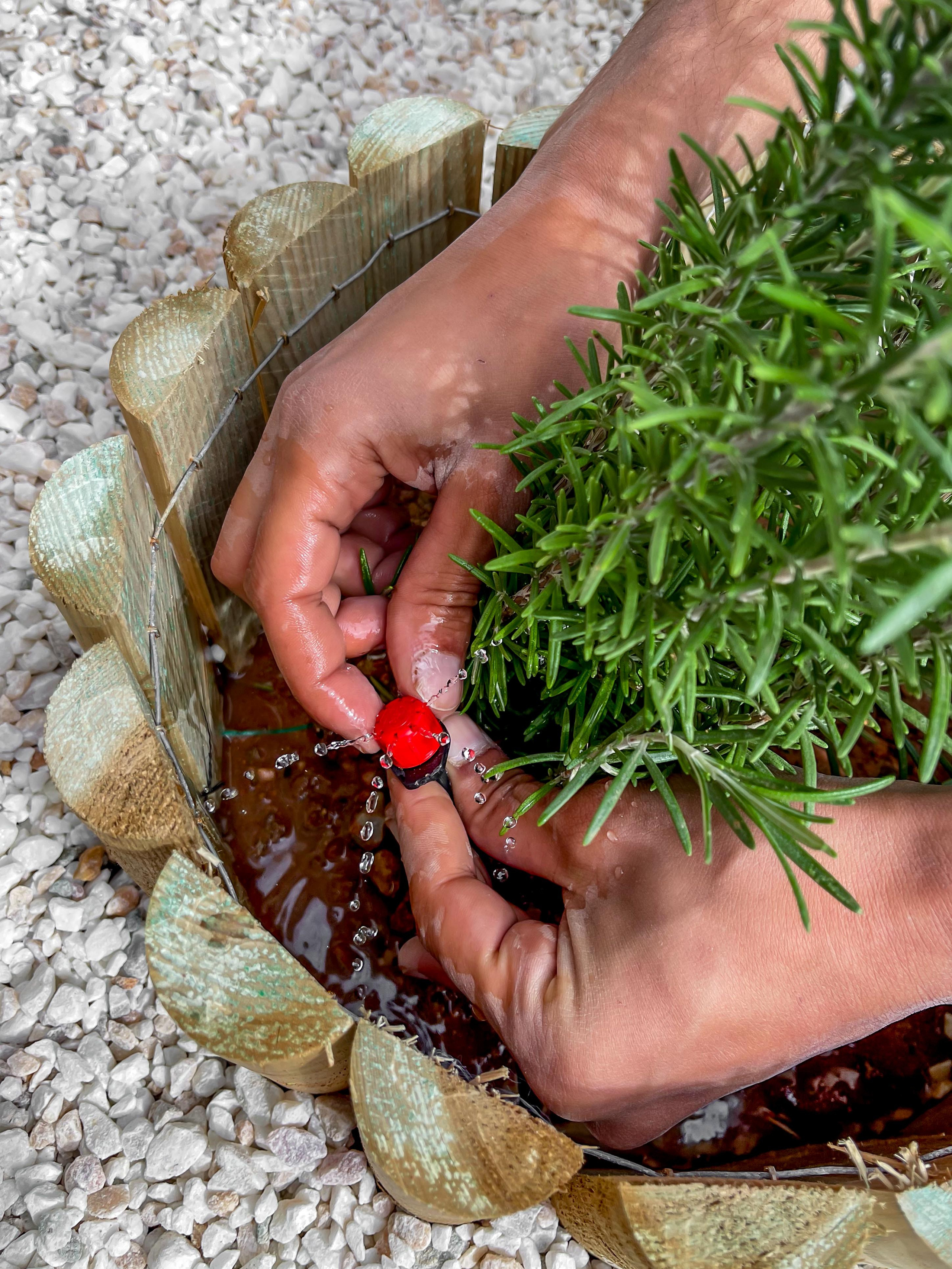 Κήπος Περιστέρι. Geoponitikon-Όταν η Επιστήμη συναντά την Τέχνη στο Φυσικό Τοπίο!