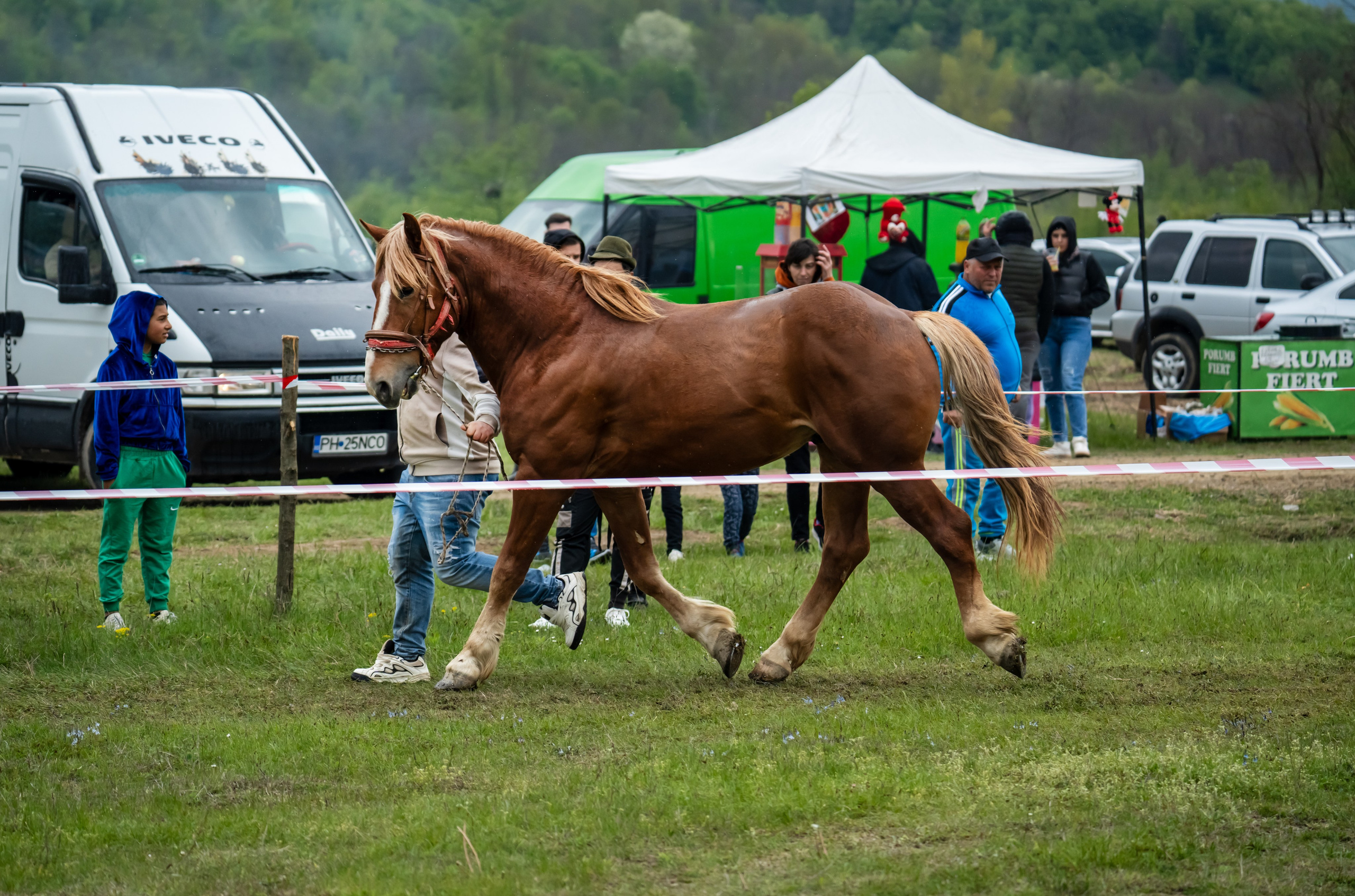 Concurs Ecvestru Vărbilău ediția a 4-a. Mihai Alexandra Events