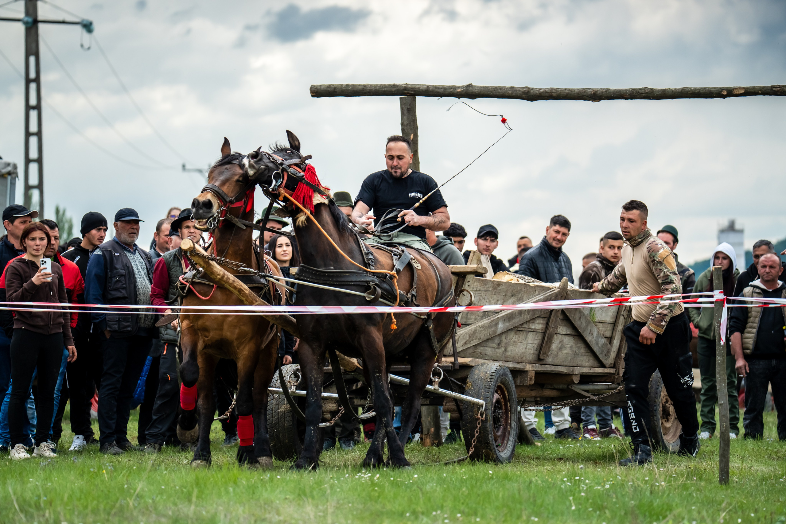 Concurs Ecvestru Vărbilău ediția a 4-a. Mihai Alexandra Events