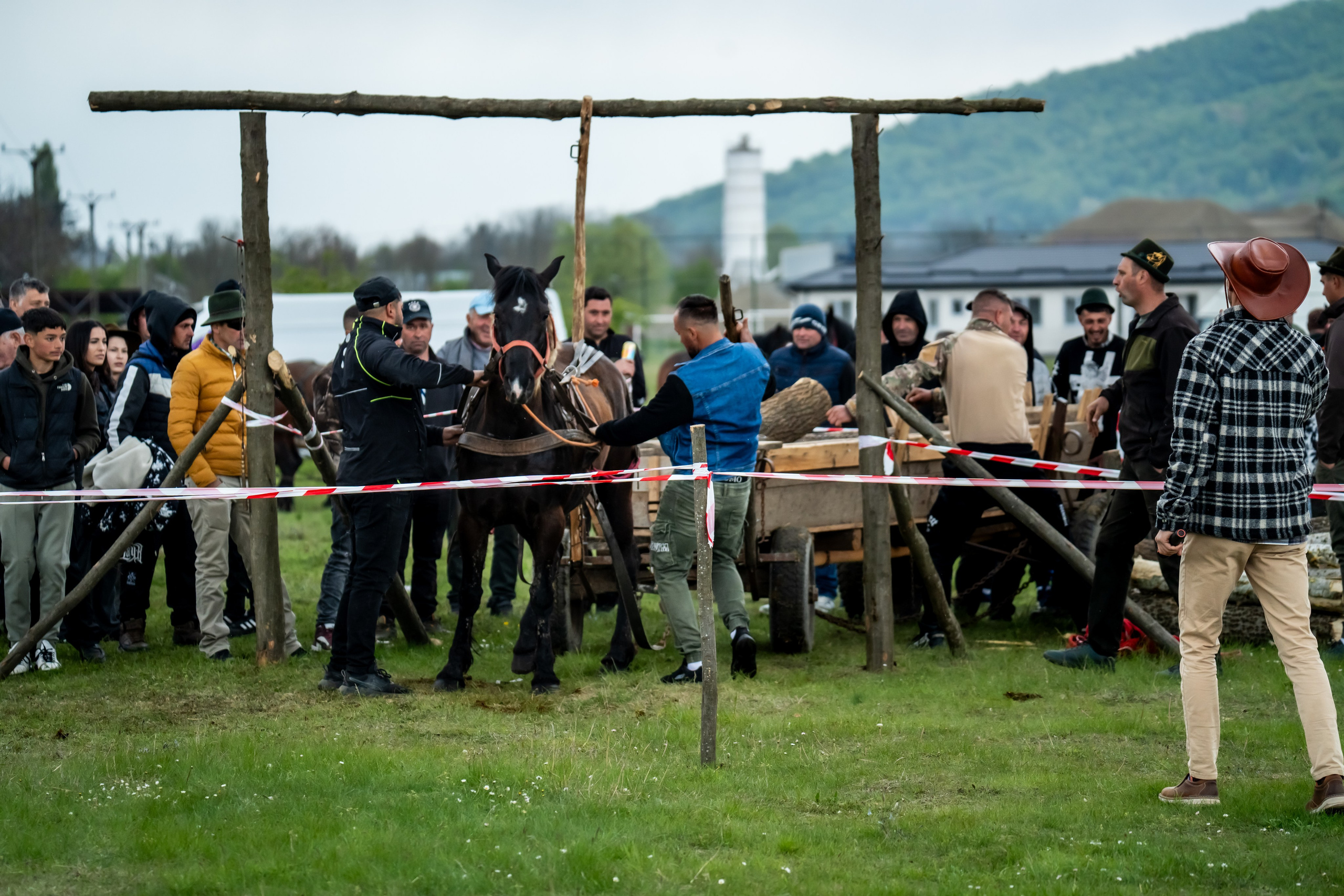 Concurs Ecvestru Vărbilău ediția a 4-a. Mihai Alexandra Events