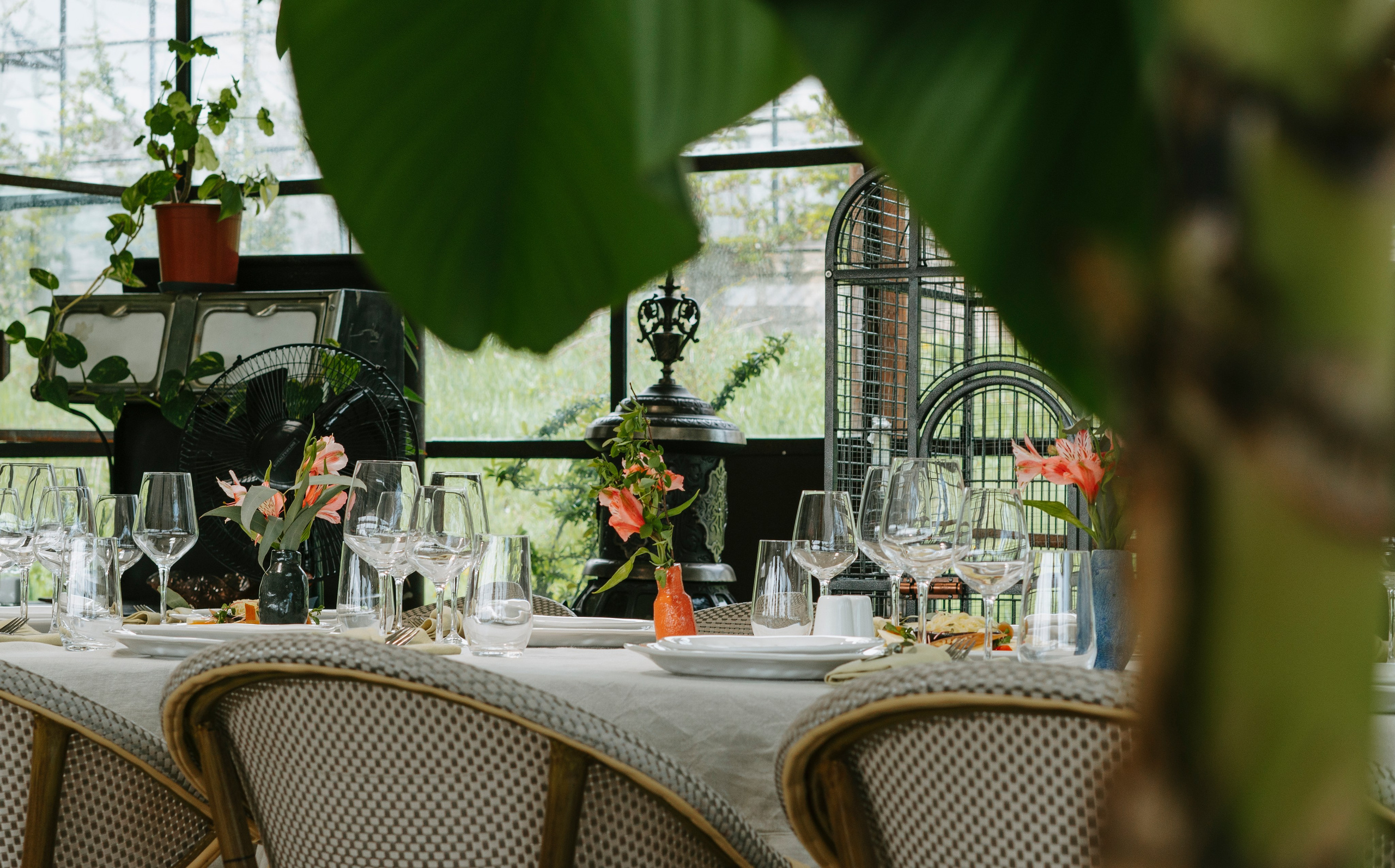 Food. Photographer and videographer for business in Tbilisi Catrine Poznyak