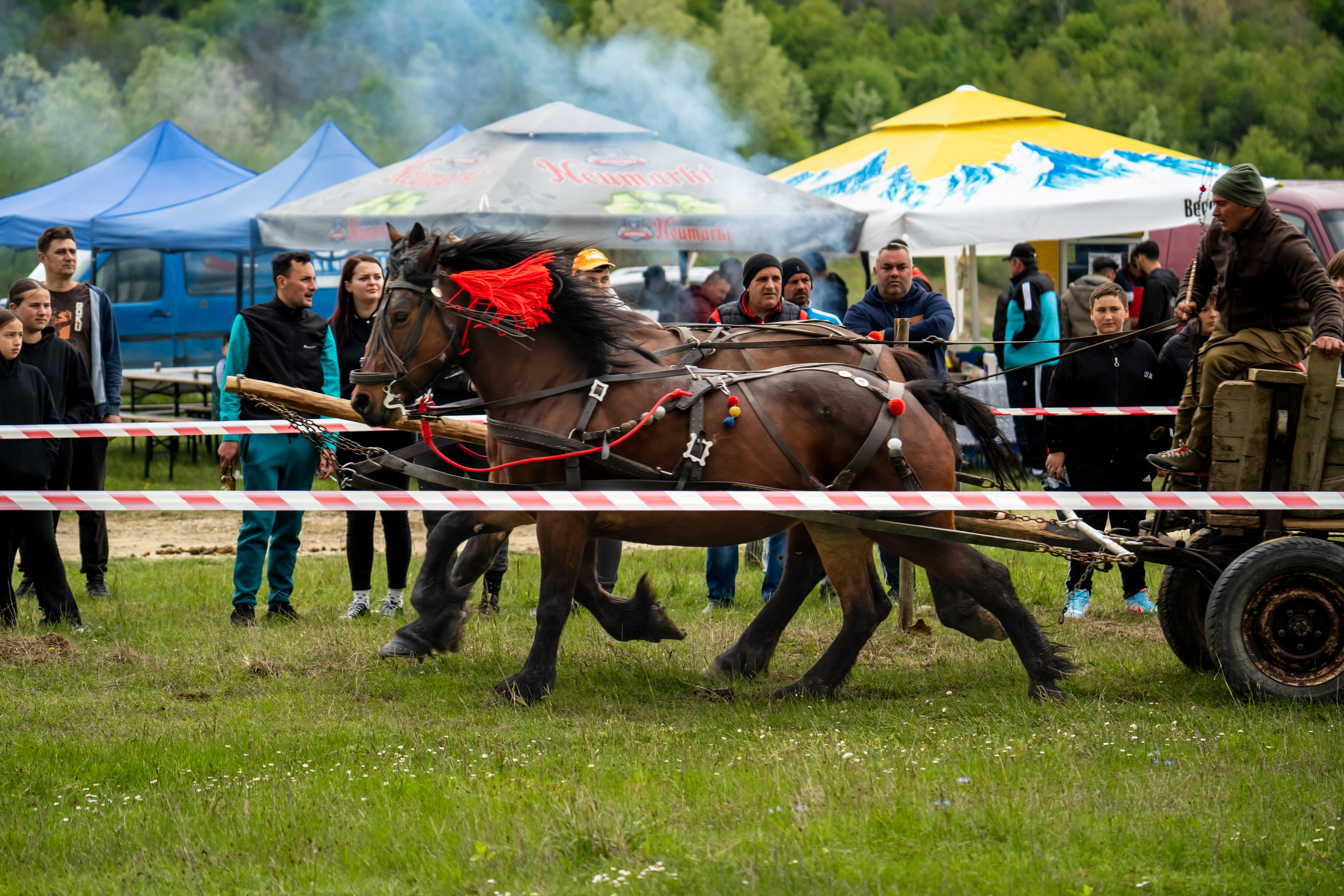 Concurs Ecvestru Vărbilău ediția a 4-a. Mihai Alexandra Events