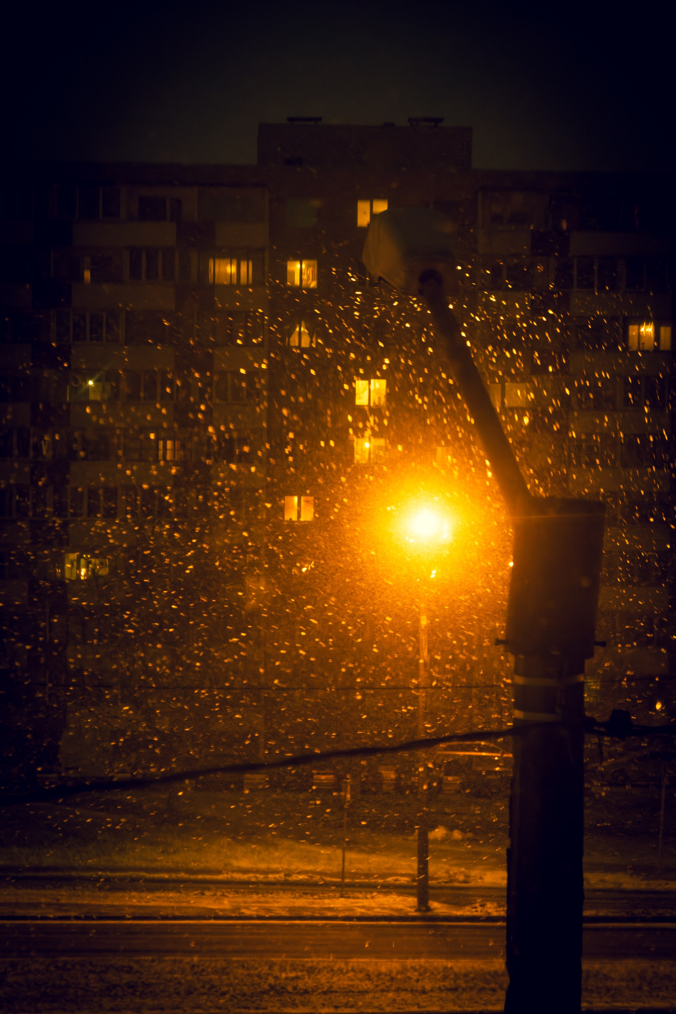 Eelmine öö. Nebula 25 — Fotod teie hingele