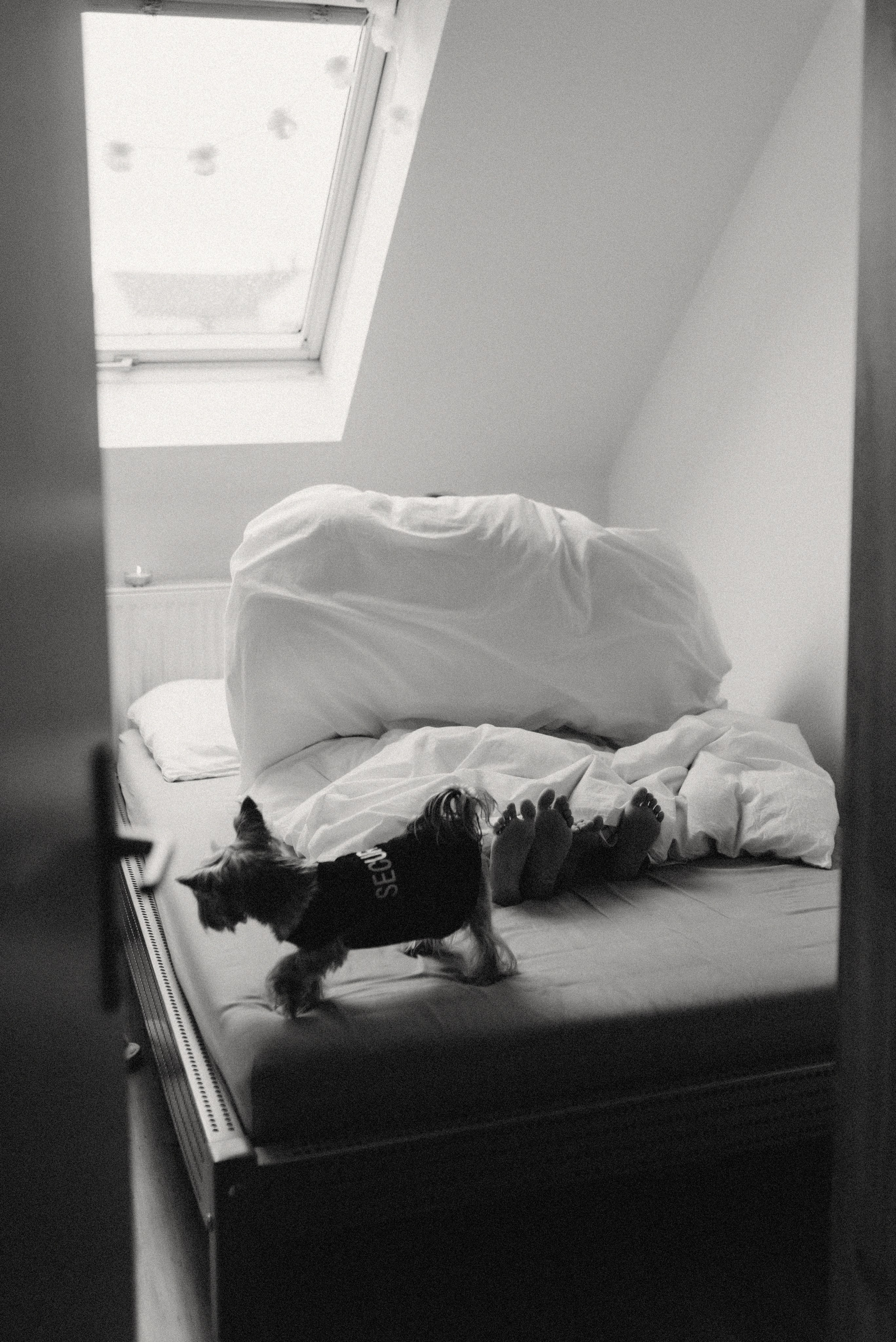 Домашняя фотосессия мама и ребенок. Семейный фотограф Лейпциг, Германия