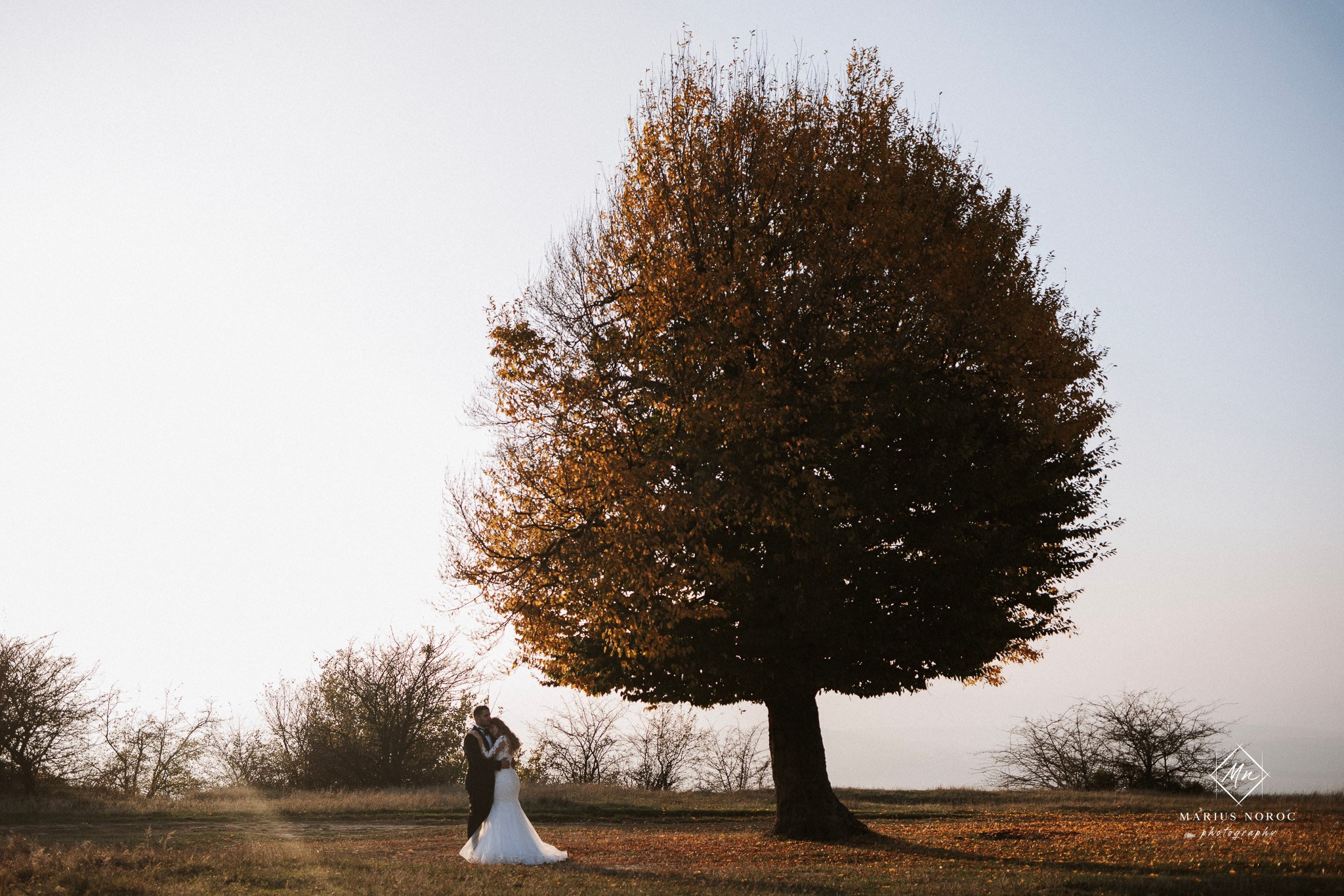 Alexandra & Laurentiu | Padurea Bucium Iasi