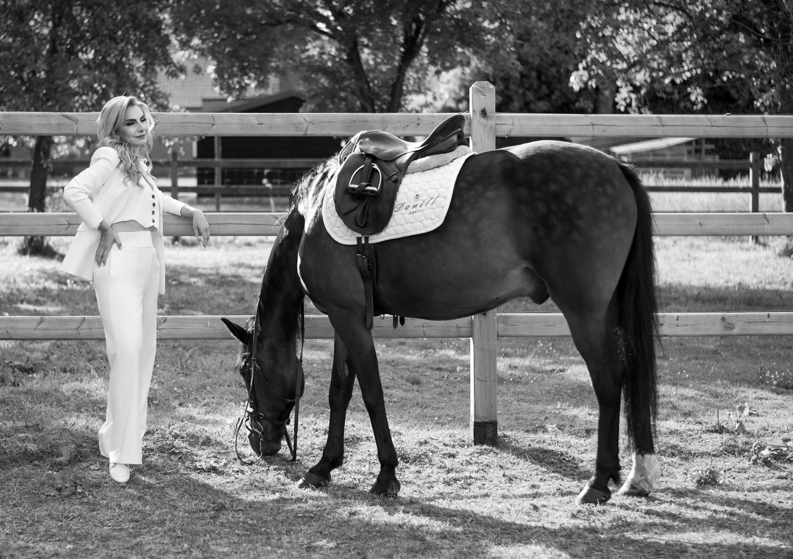 Photoshoot with Horses. Professional Photograher, Antwerpen/Belgium