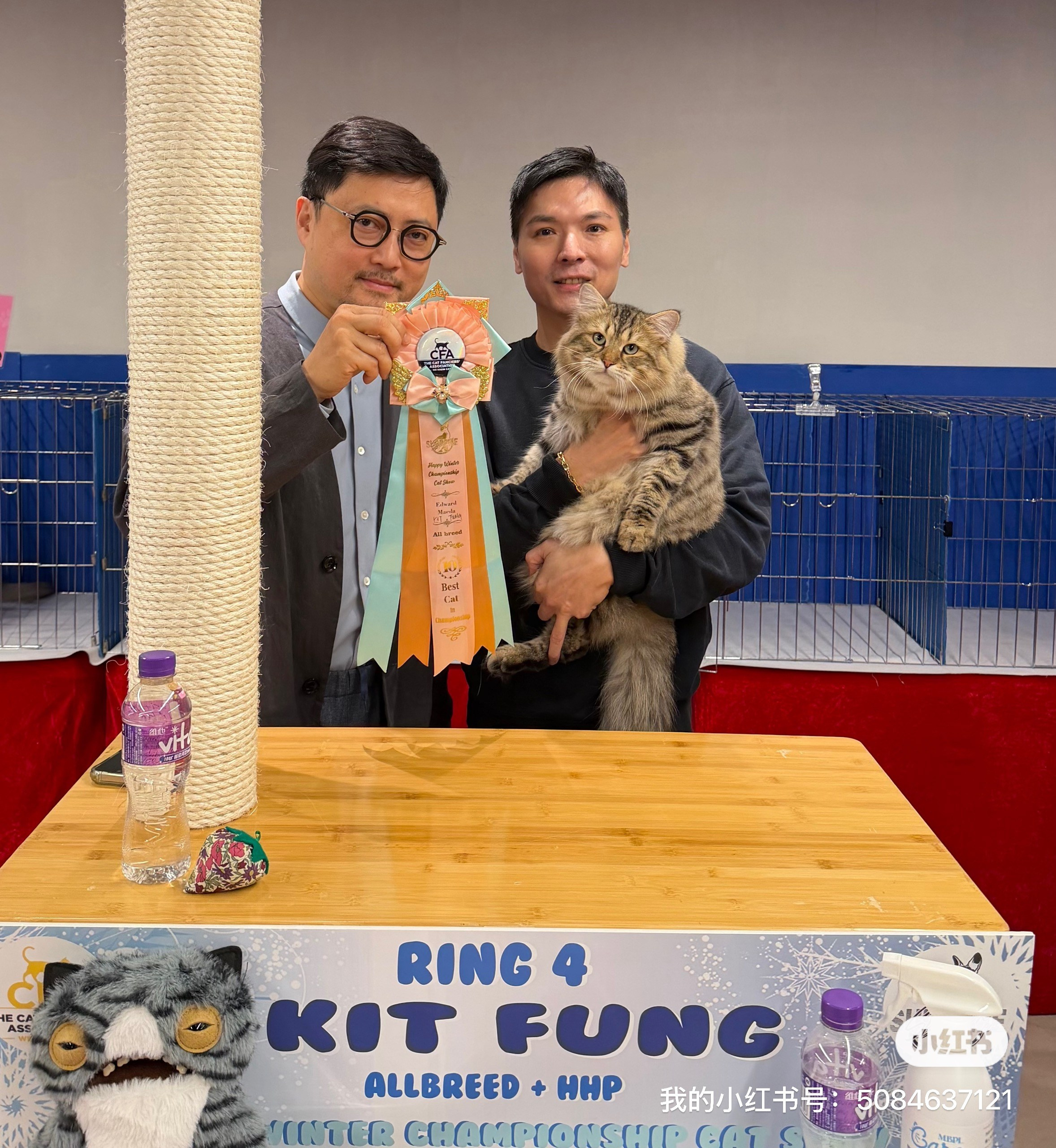 CFA WINTER CHAMPIONSHIP CAT SHOW 13 DEC 2025