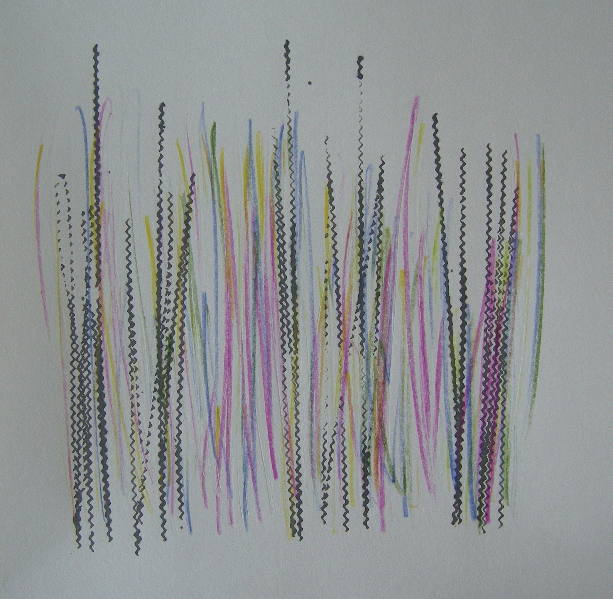 O.T. 2024 - 30x30
