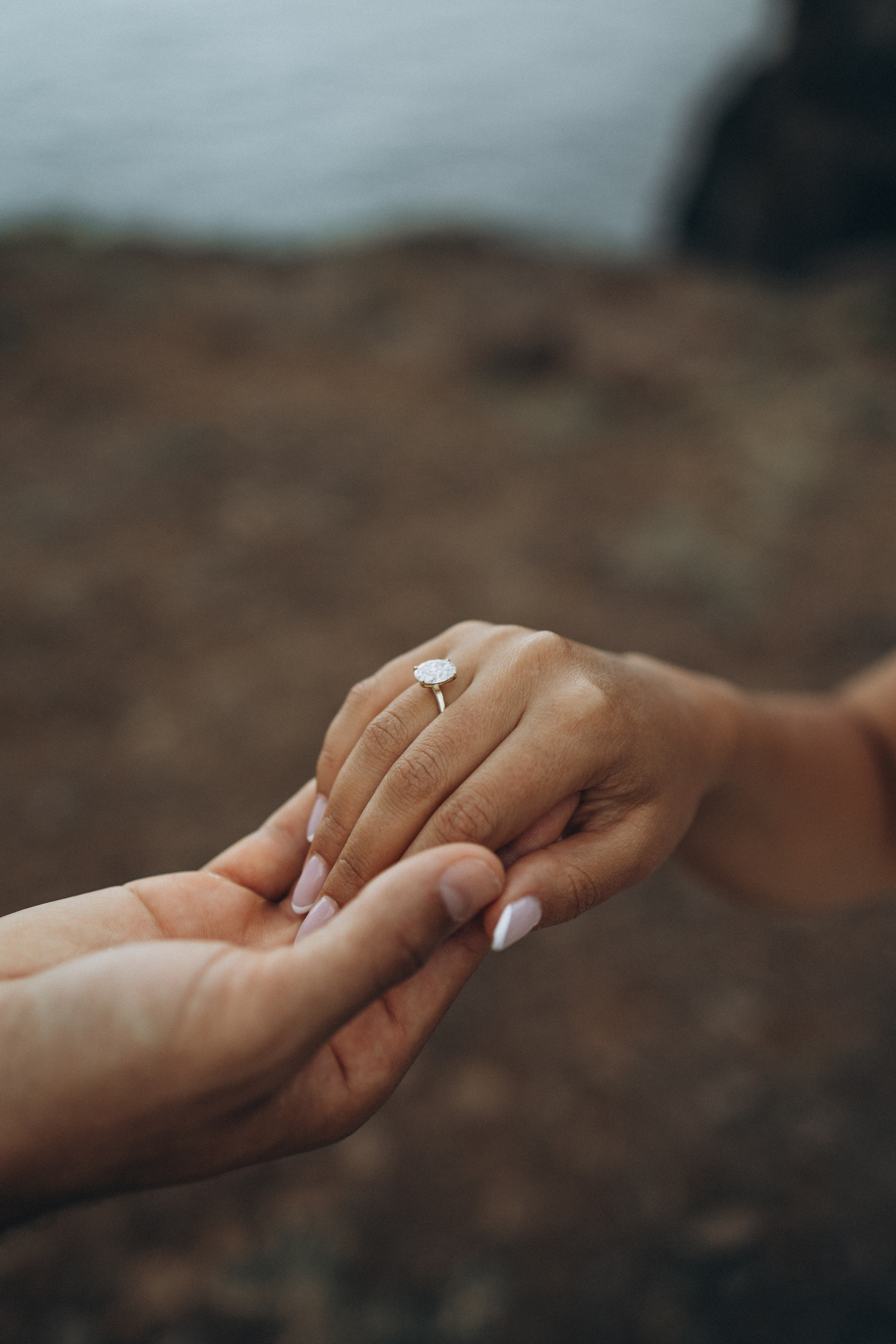 Proposal. Photographer Madeira