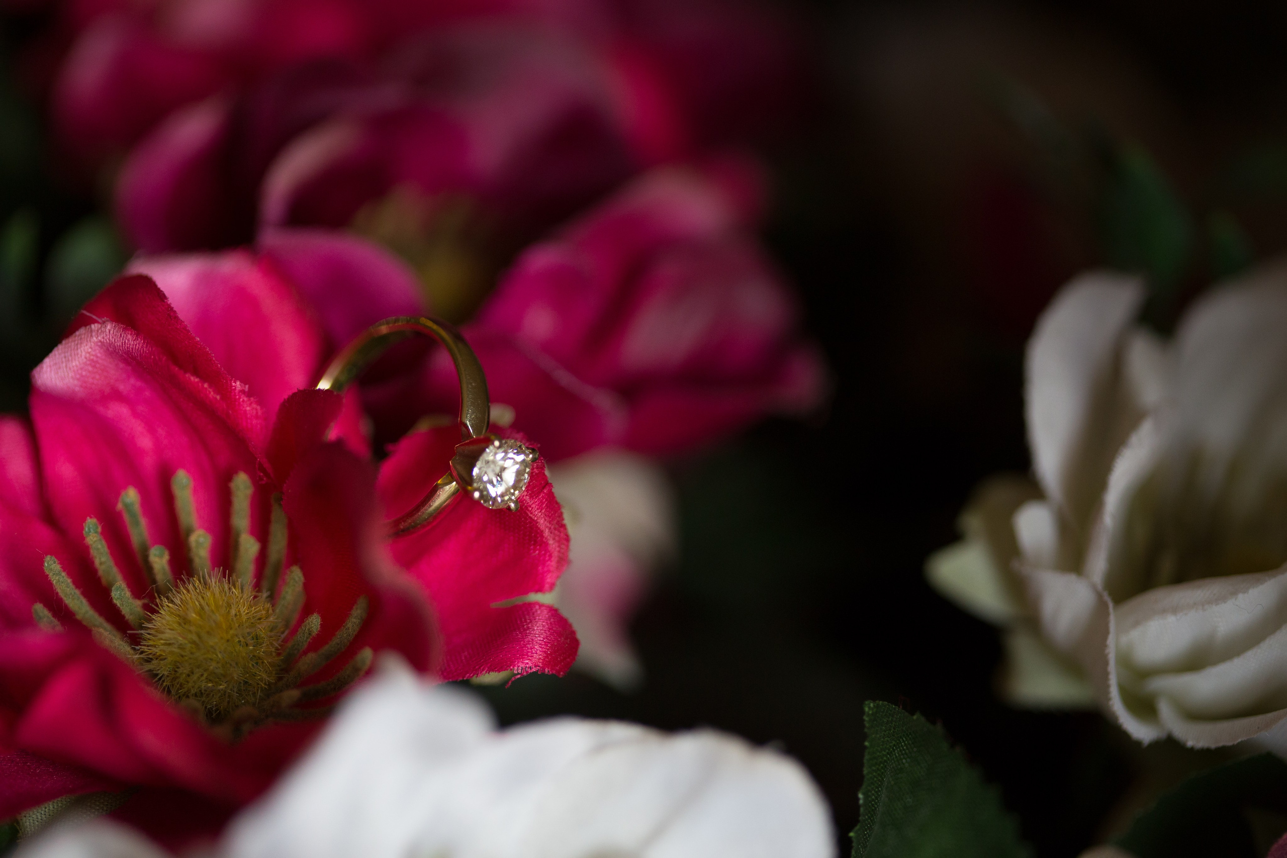 Hedva & Avi. Wedding and events photographers Studio Shalom