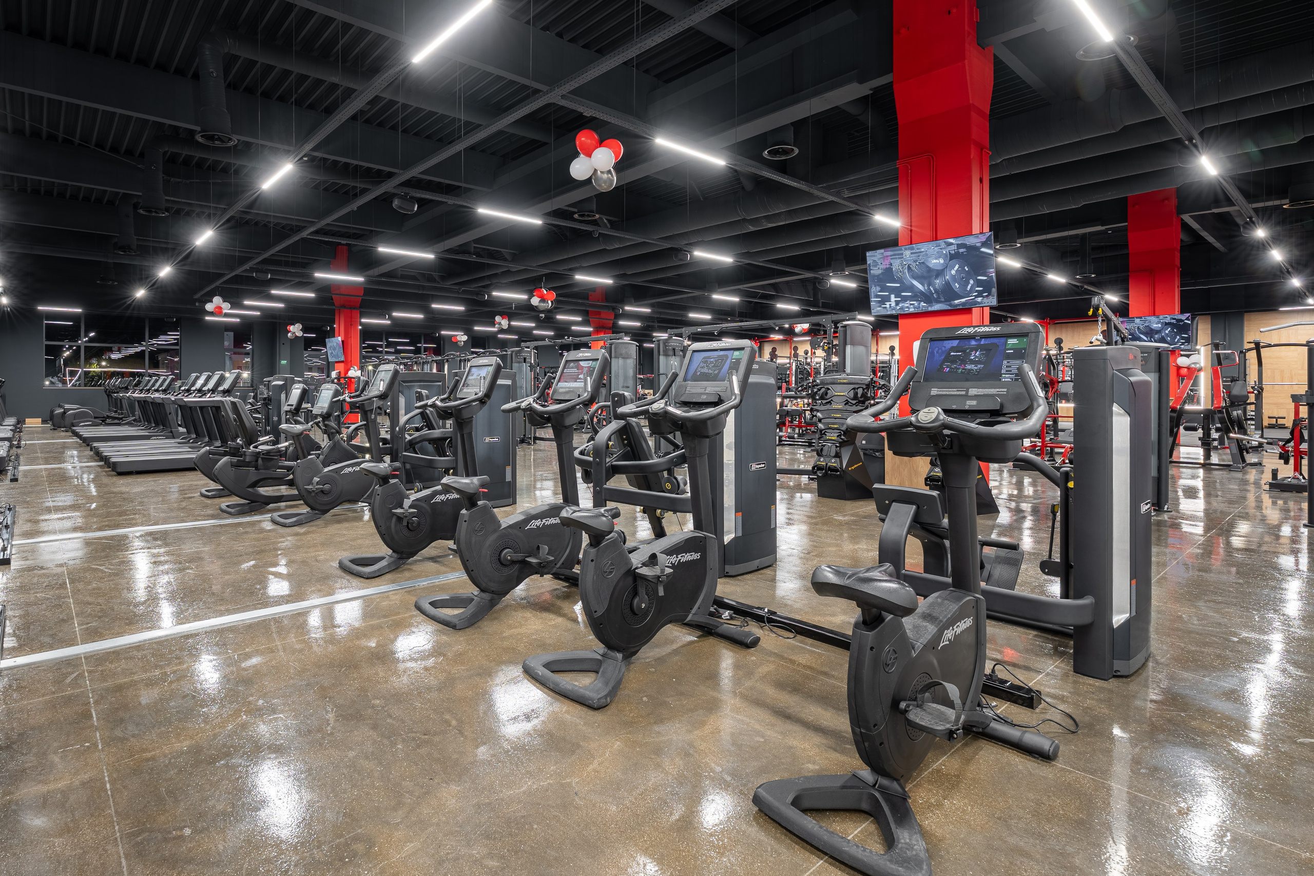 WEST GYM PARK MAXX. Професионален фотограф в Пловдив и областта