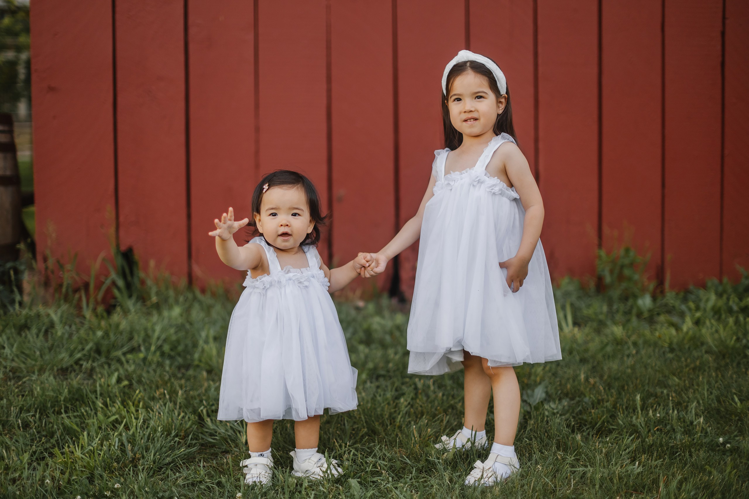 05.25.26 Family Photoshoot. Wedding family event photographer in Chicago Nick Yushevich